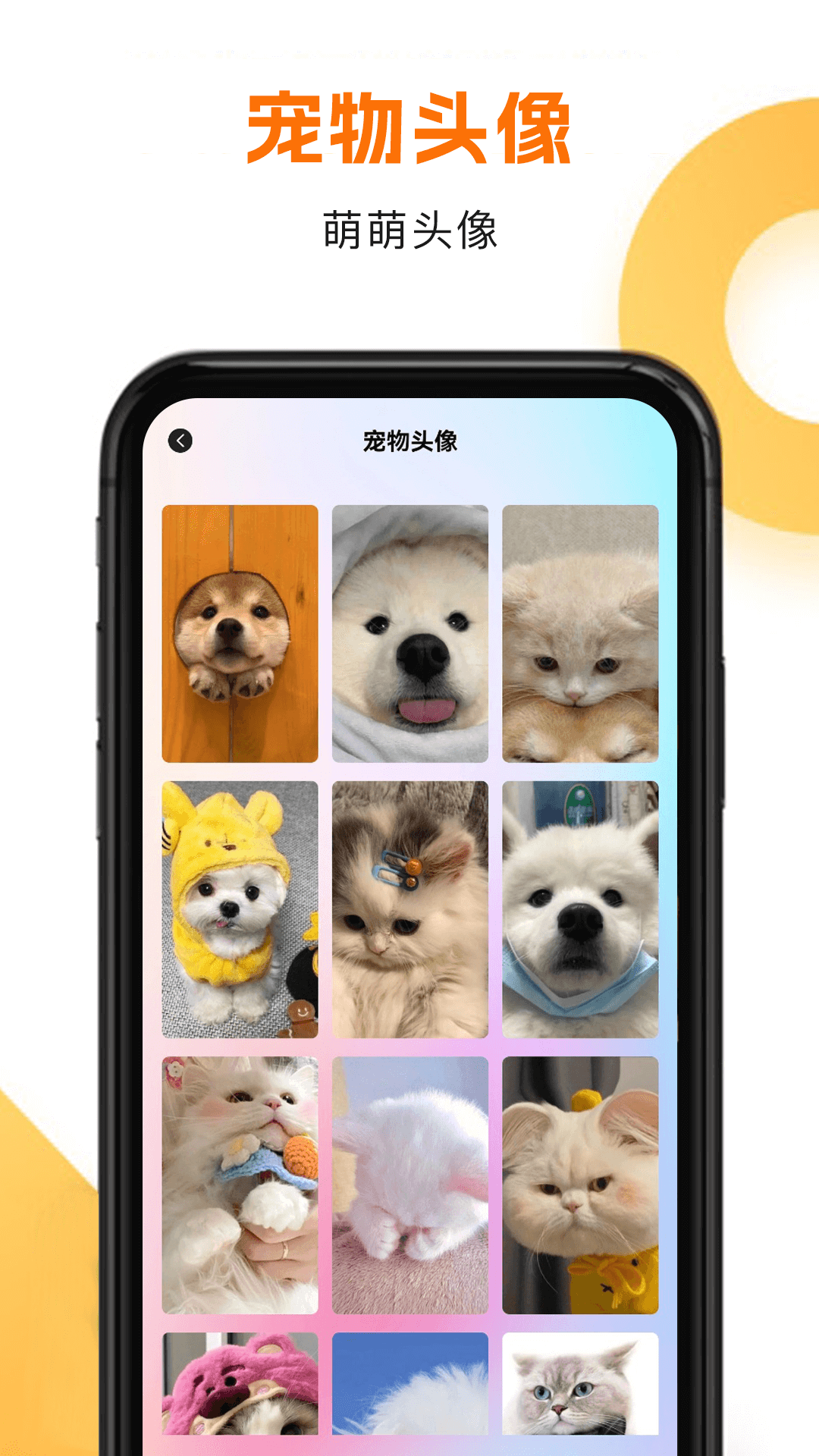 精彩截图-筑梦猫舍2026官方新版