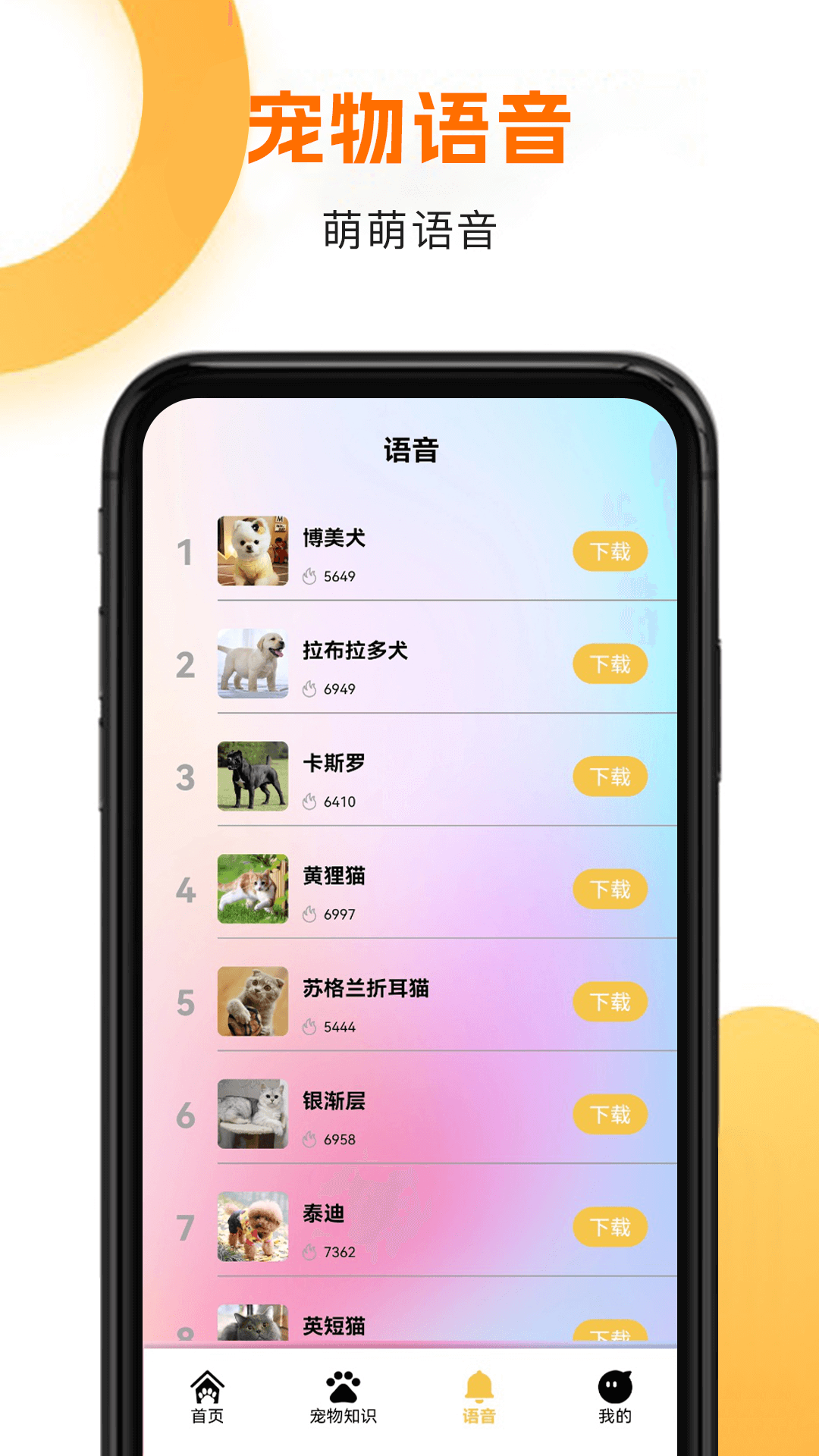 精彩截图-筑梦猫舍2026官方新版