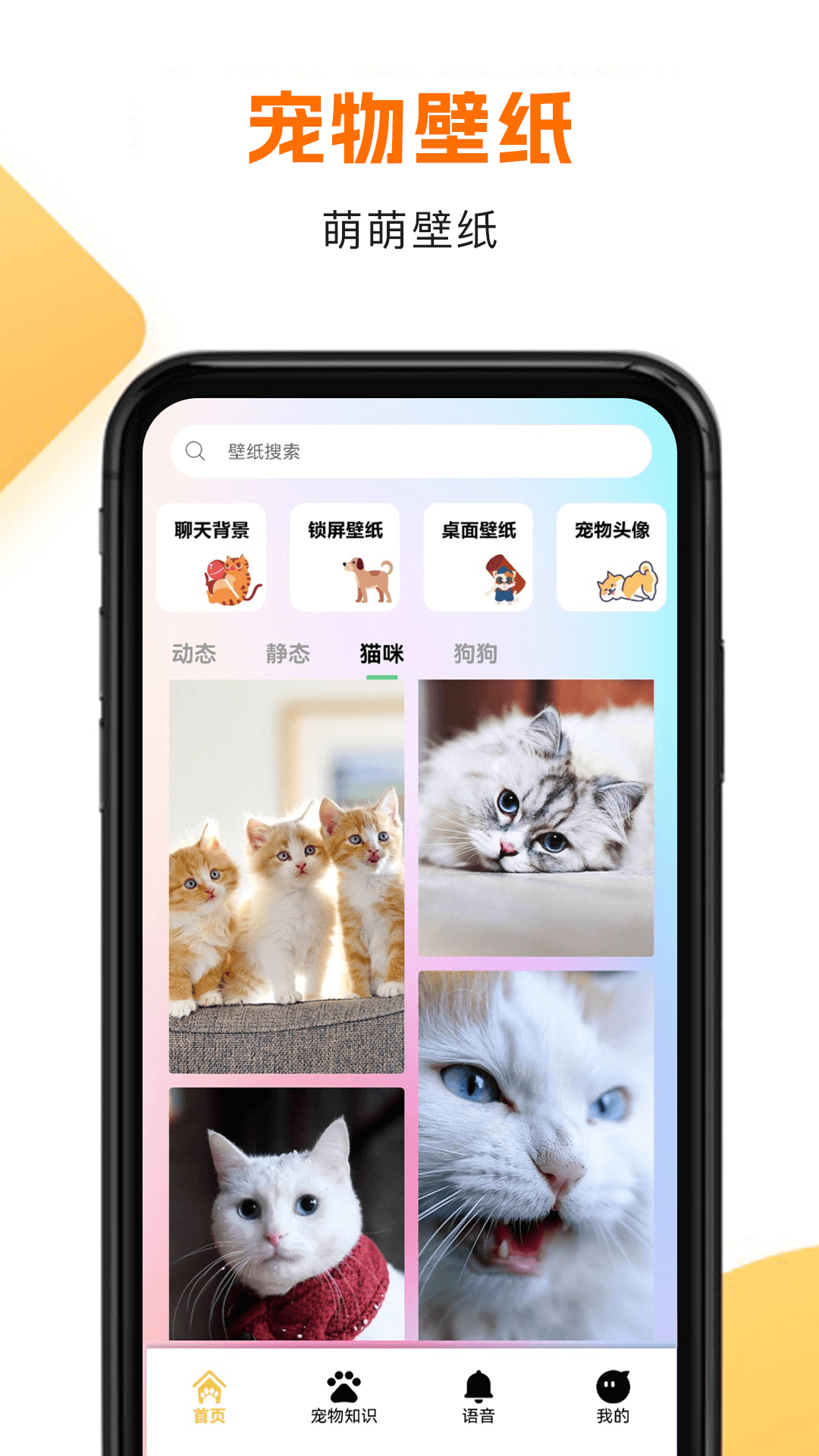 精彩截图-筑梦猫舍2026官方新版