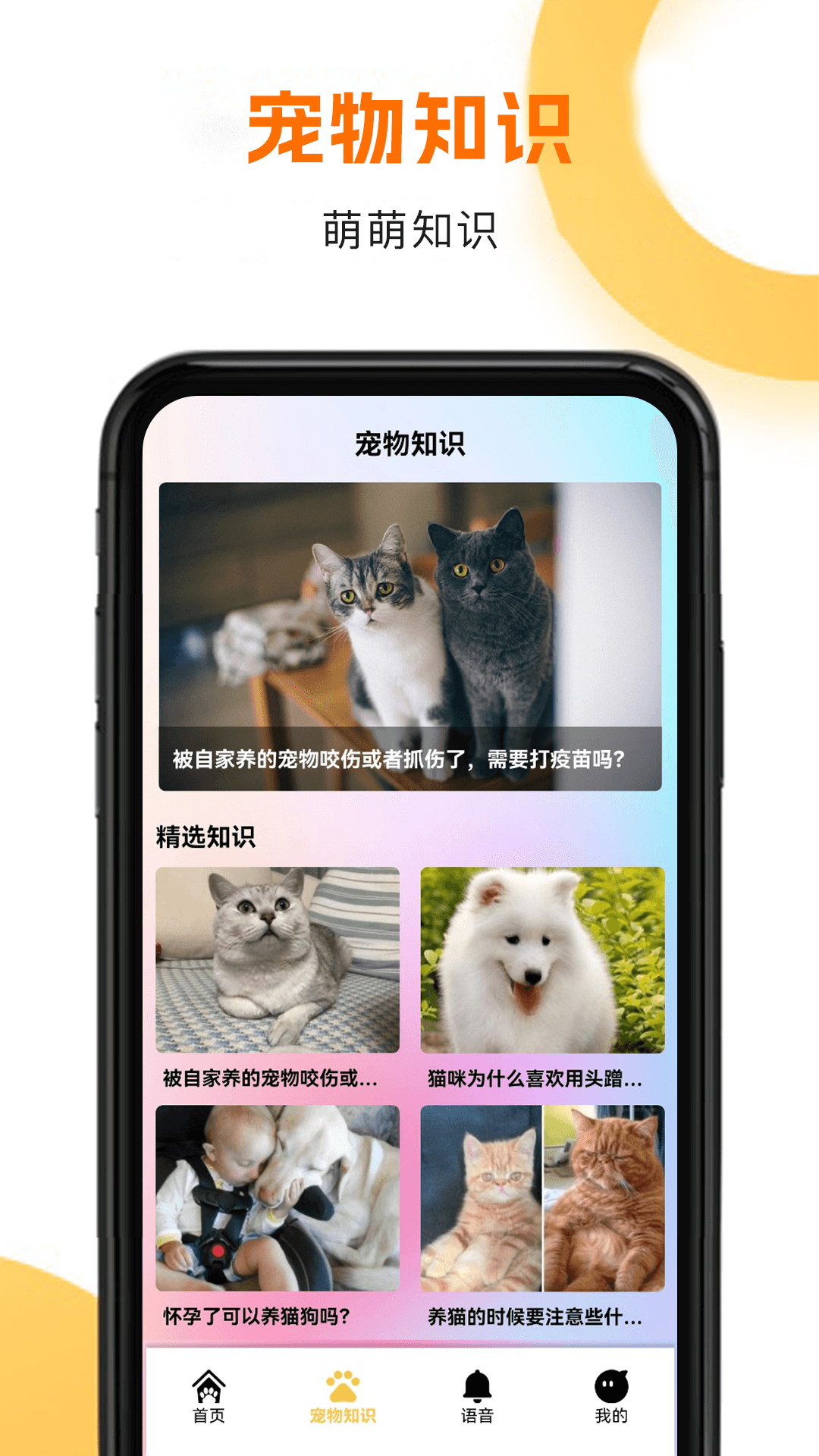 精彩截图-筑梦猫舍2026官方新版