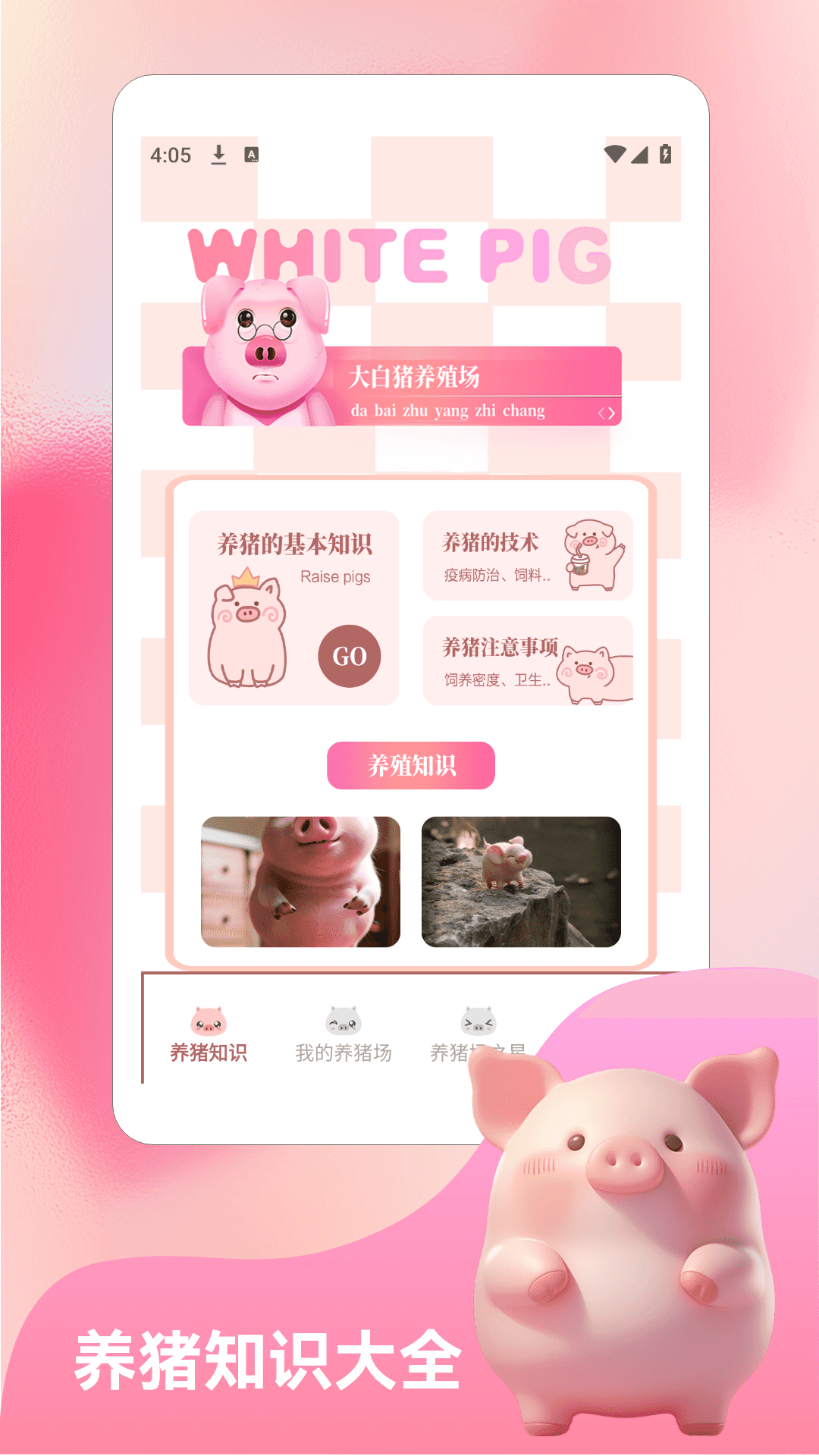 精彩截图-挪猪大挑战2026官方新版