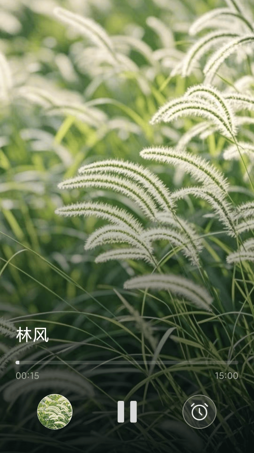 精彩截图-轻诉心舟2026官方新版