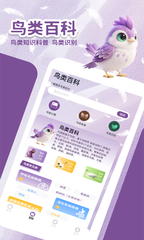 精彩截图-小鸟排排坐2026官方新版