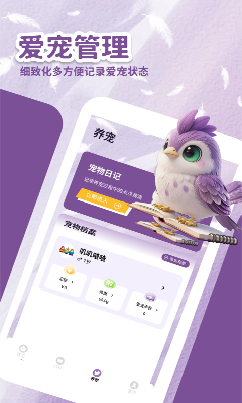 精彩截图-小鸟排排坐2026官方新版