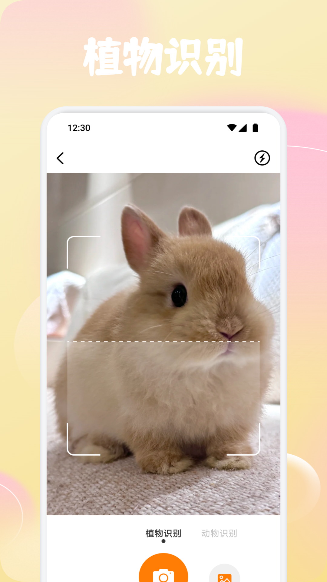 精彩截图-橘小花2026官方新版