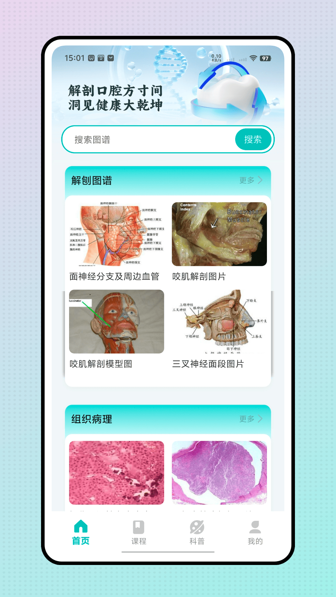精彩截图-口腔解剖图2026官方新版