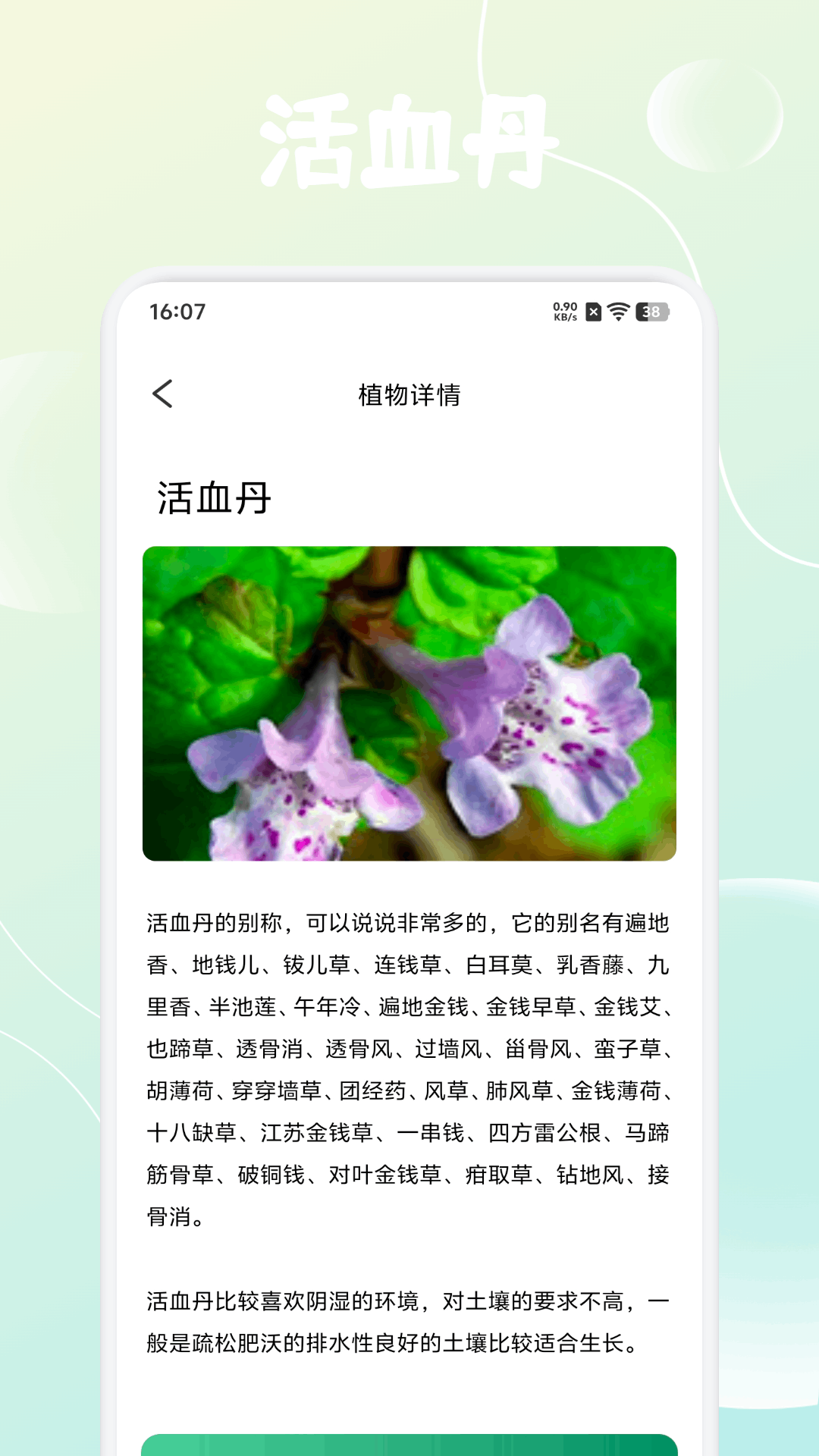 精彩截图-福气小院子2026官方新版