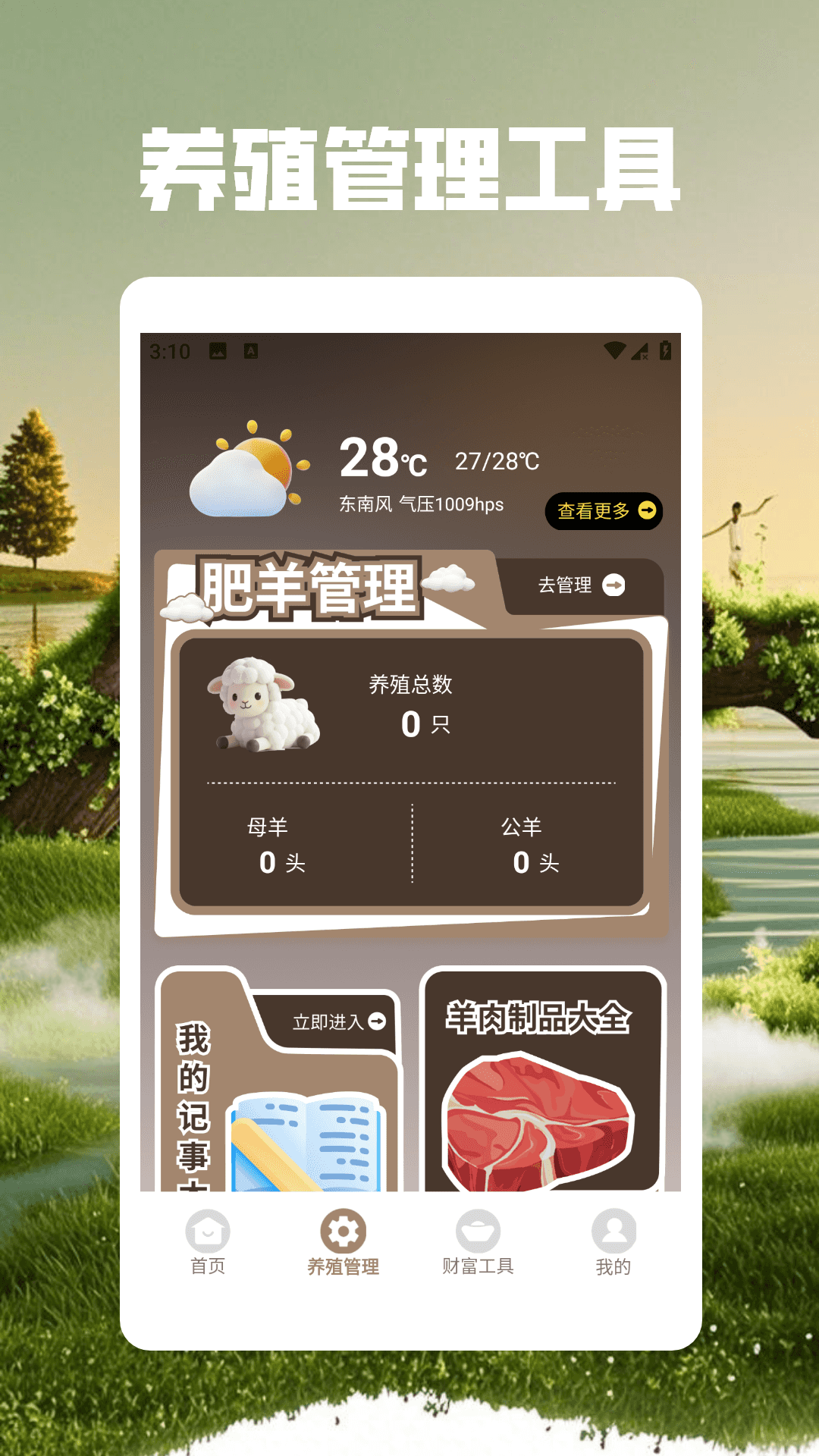 精彩截图-抓一只羊2026官方新版