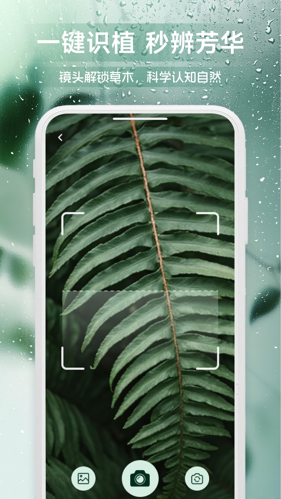 精彩截图-青草2026官方新版