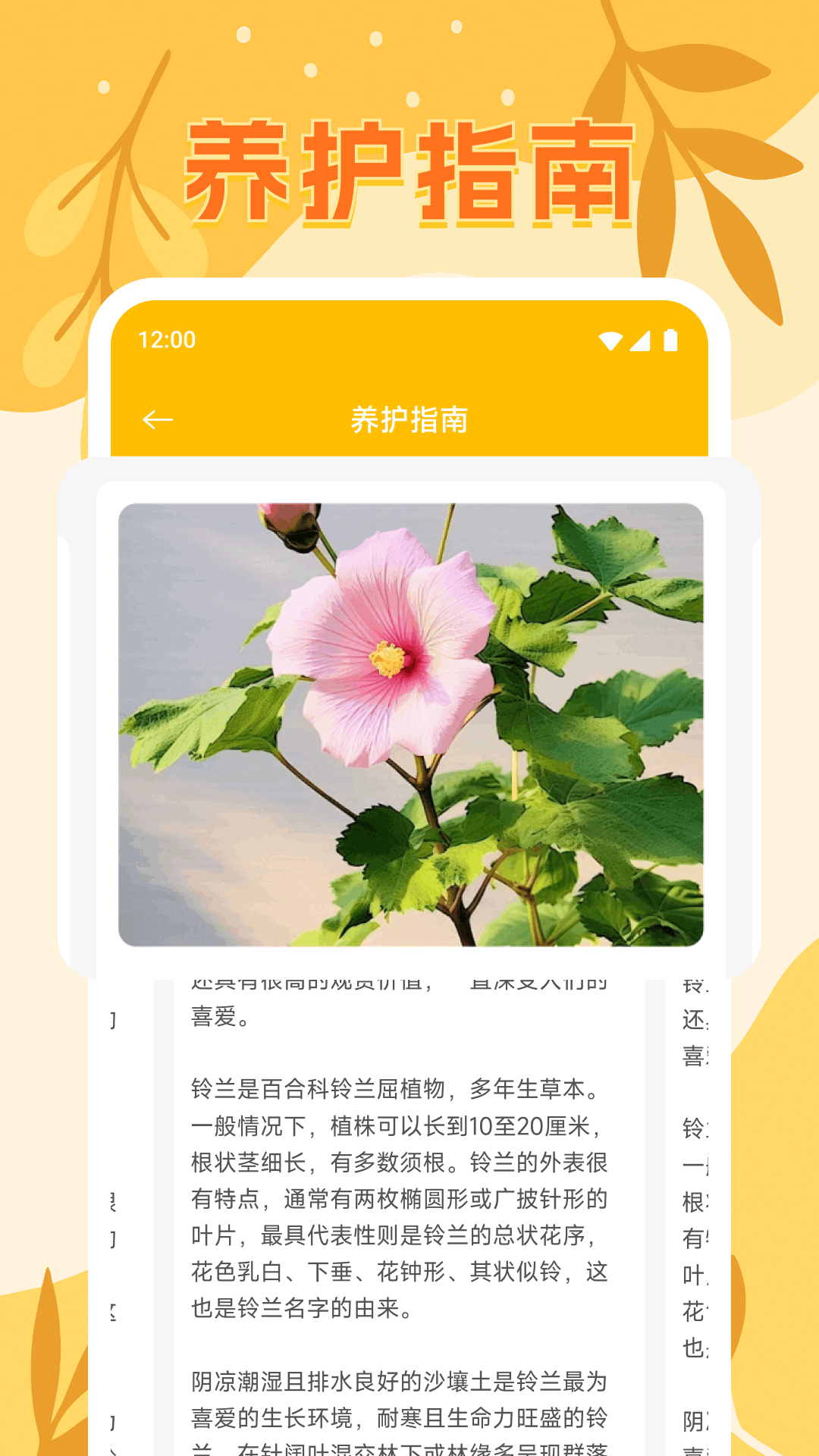 精彩截图-花开满园2026官方新版