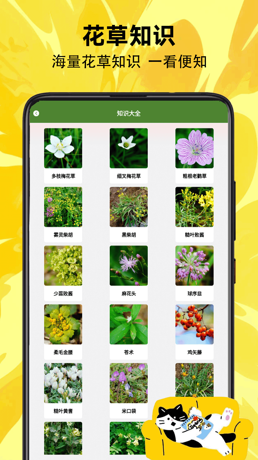 精彩截图-疯狂小羊2026官方新版