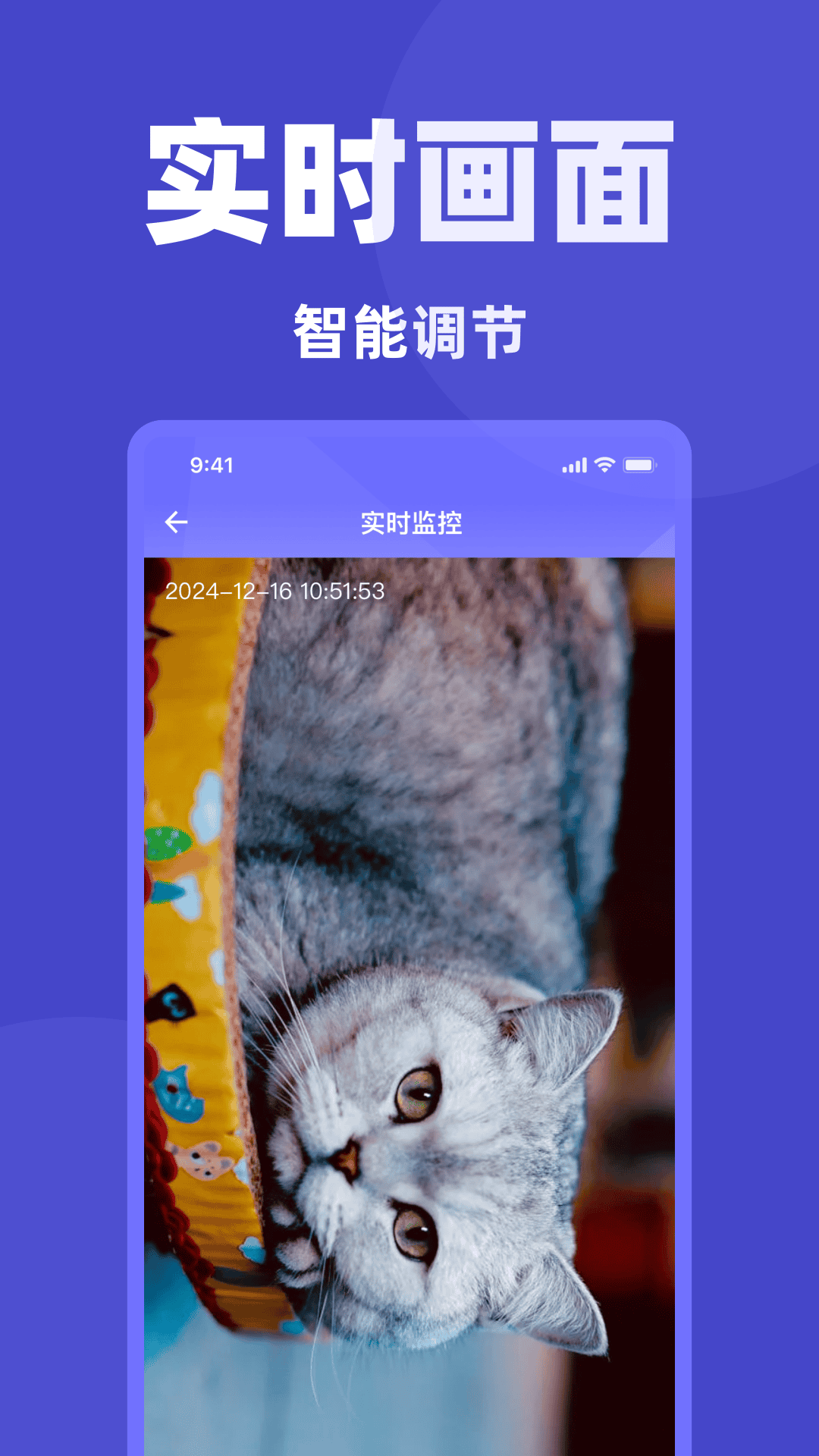精彩截图-监控远程看家异地2026官方新版