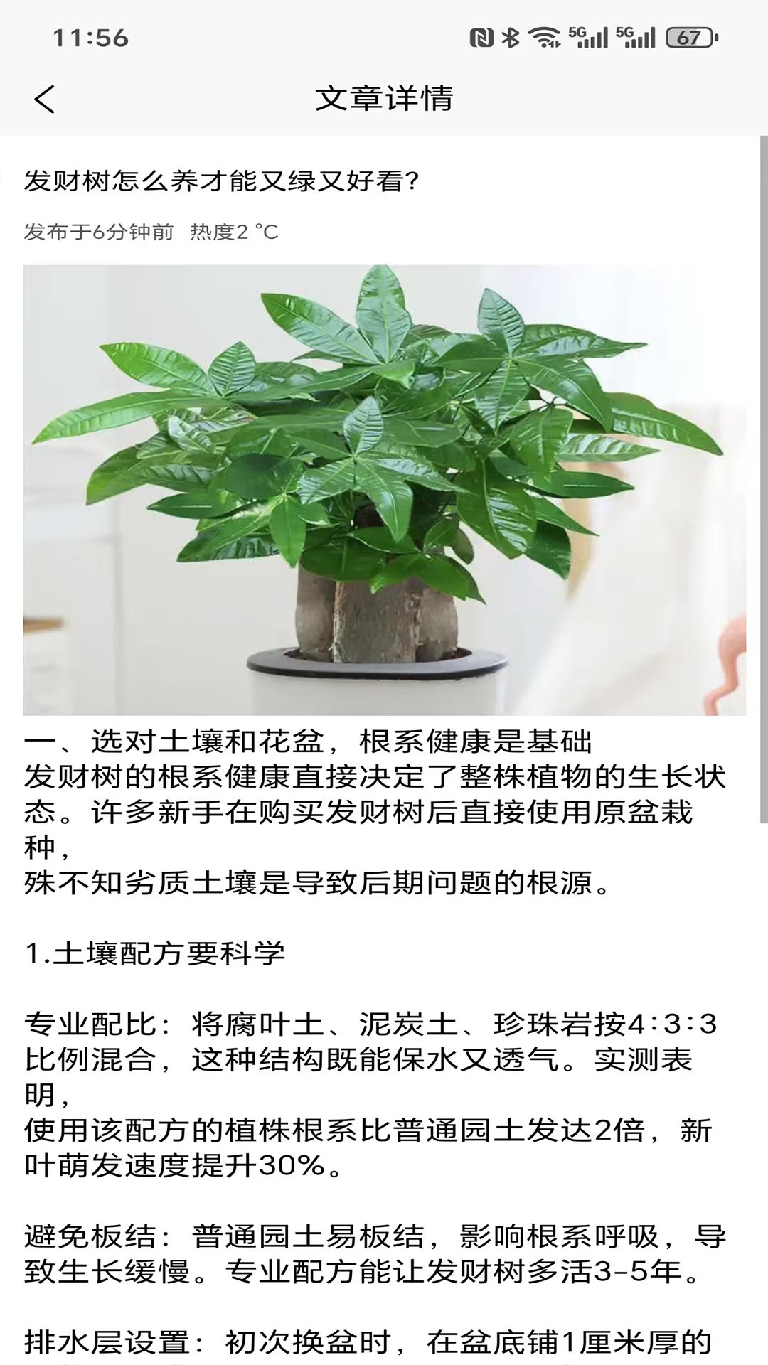 精彩截图-森灵探境2026官方新版