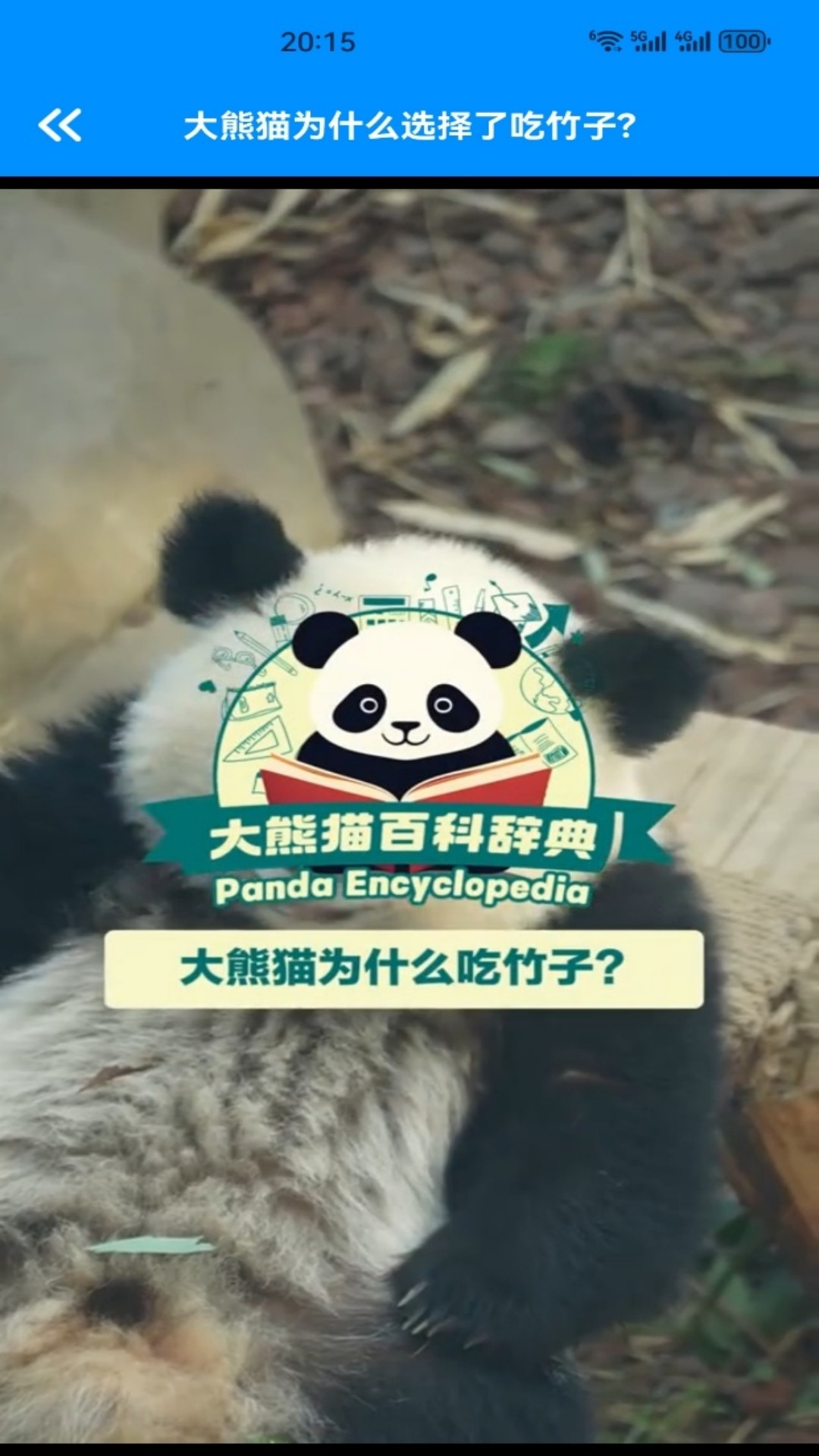 精彩截图-小熊猫CZR2026官方新版