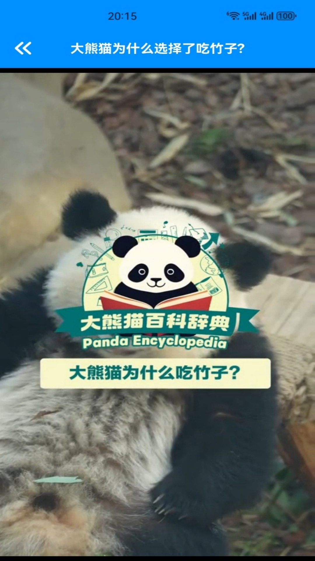 精彩截图-小熊猫CZR2026官方新版