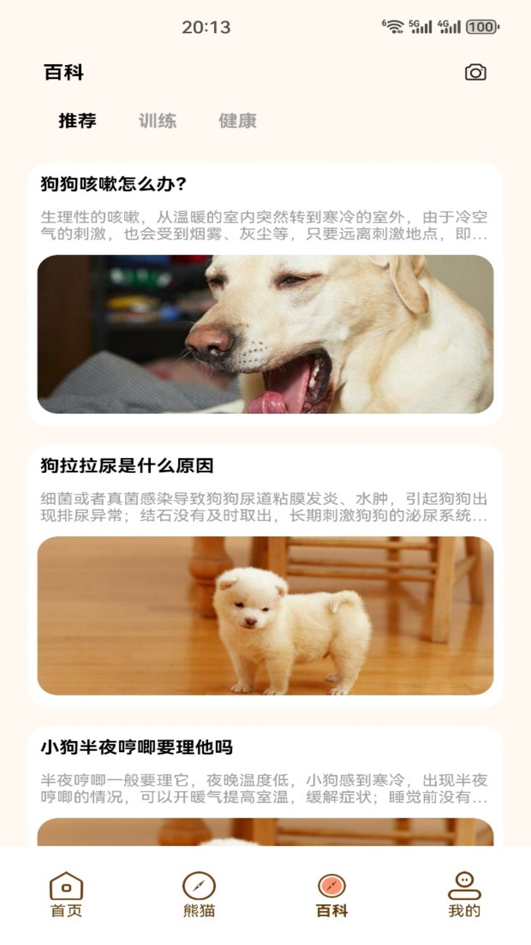 精彩截图-小熊猫CZR2026官方新版