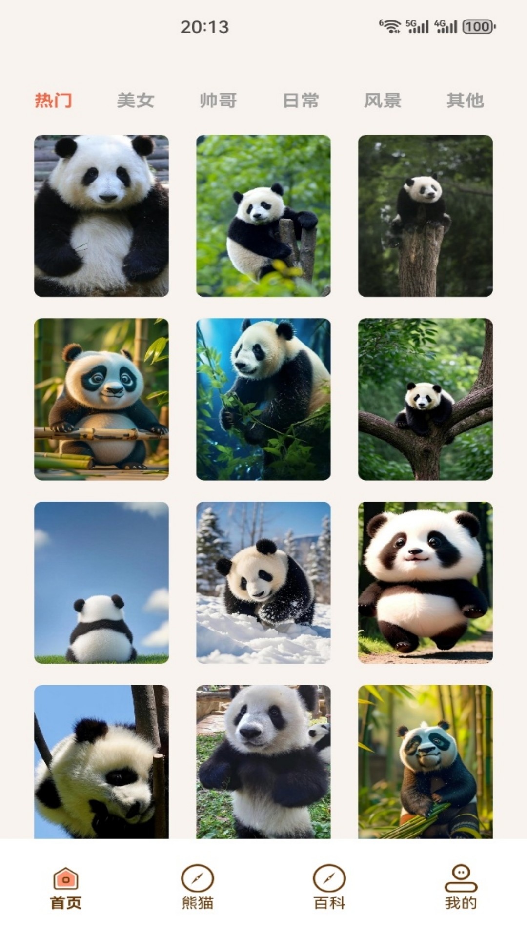 精彩截图-小熊猫CZR2026官方新版