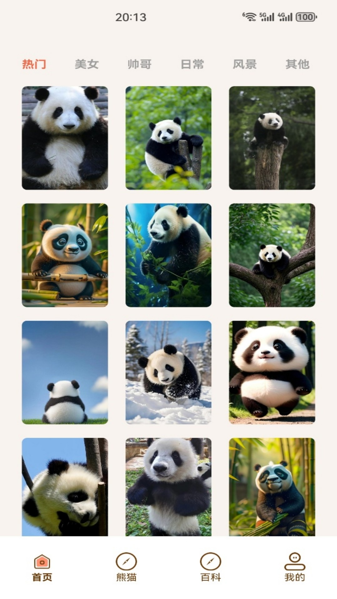 精彩截图-小熊猫CZR2026官方新版