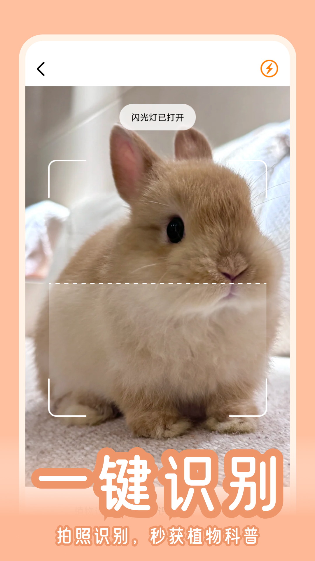 精彩截图-动物花园2026官方新版