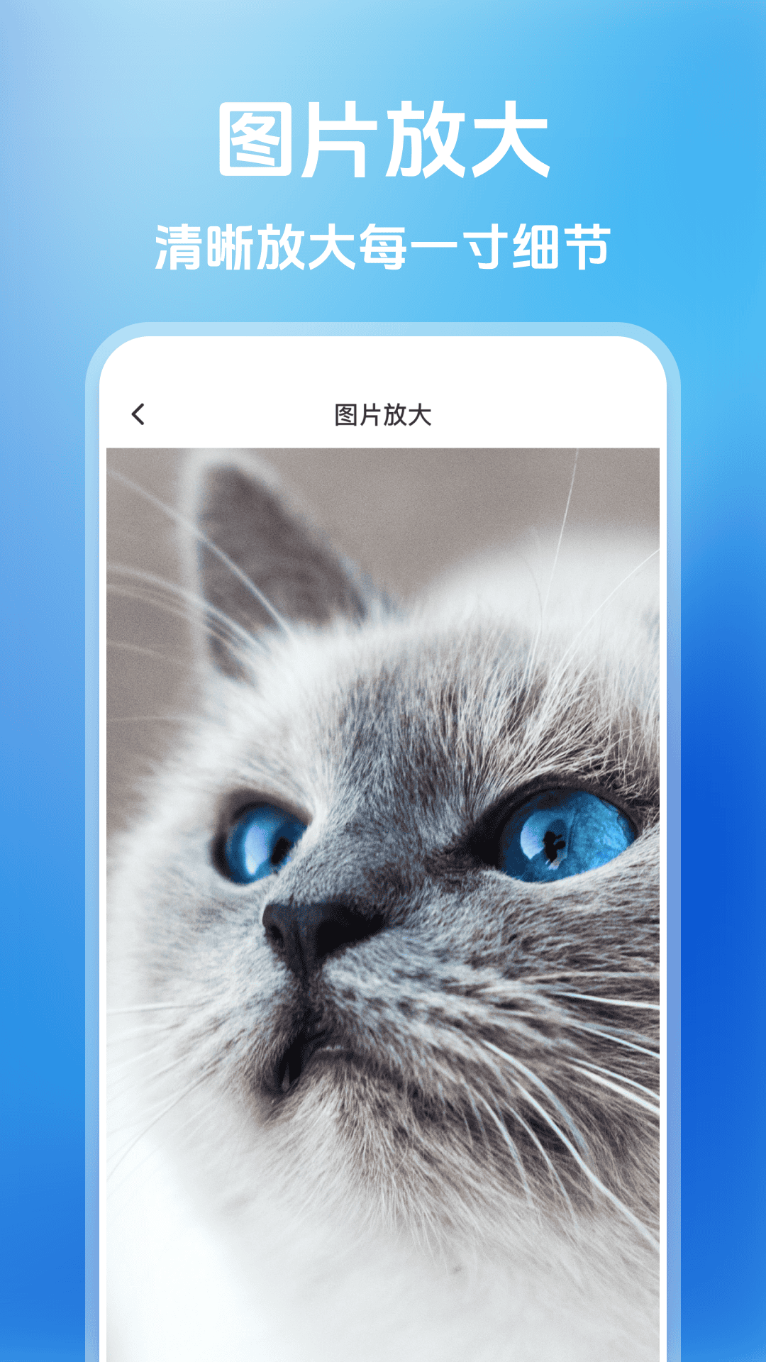 精彩截图-大字看屏器2026官方新版