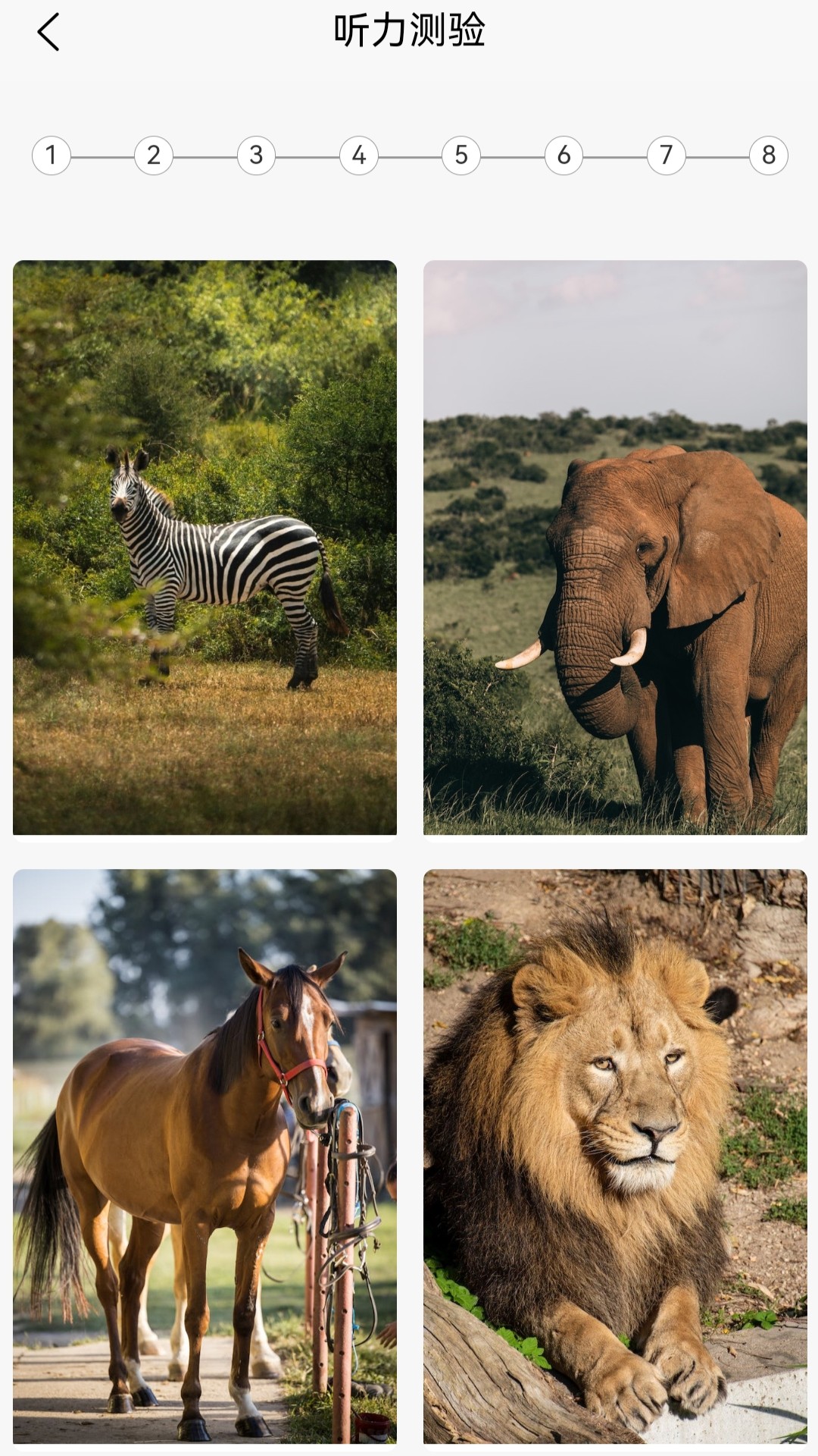 精彩截图-英语分级兔2026官方新版