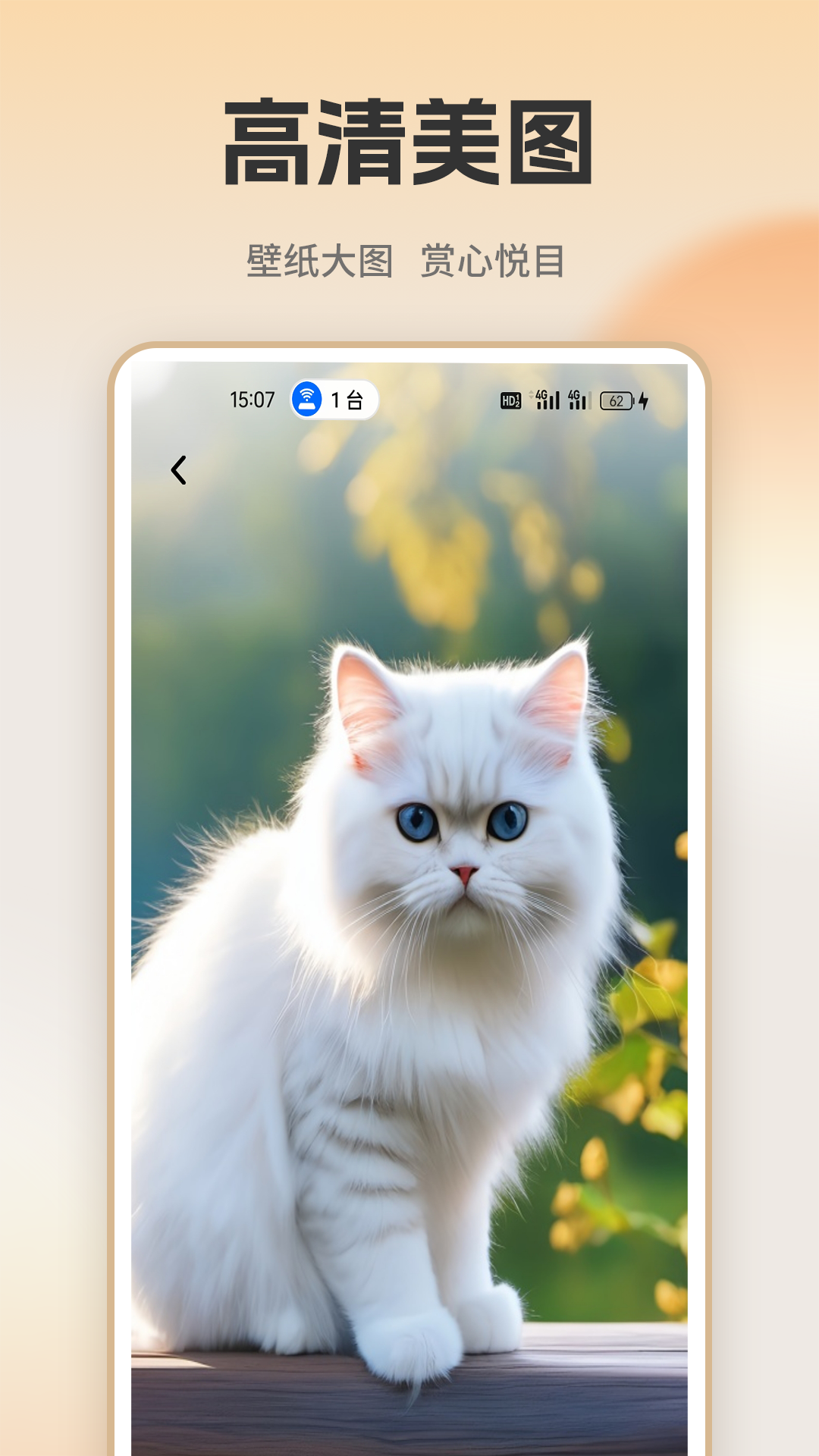 精彩截图-悦目世界2026官方新版