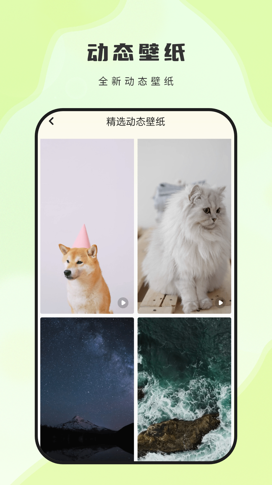 精彩截图-桌面每日壁纸2026官方新版