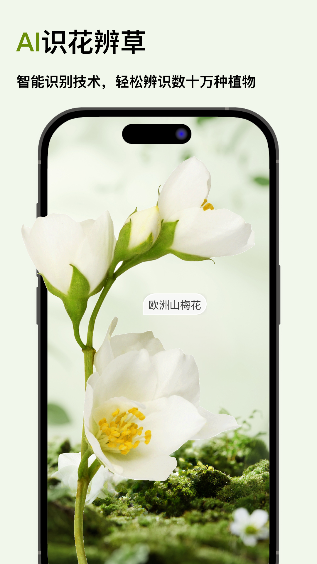 精彩截图-智能识花草2026官方新版