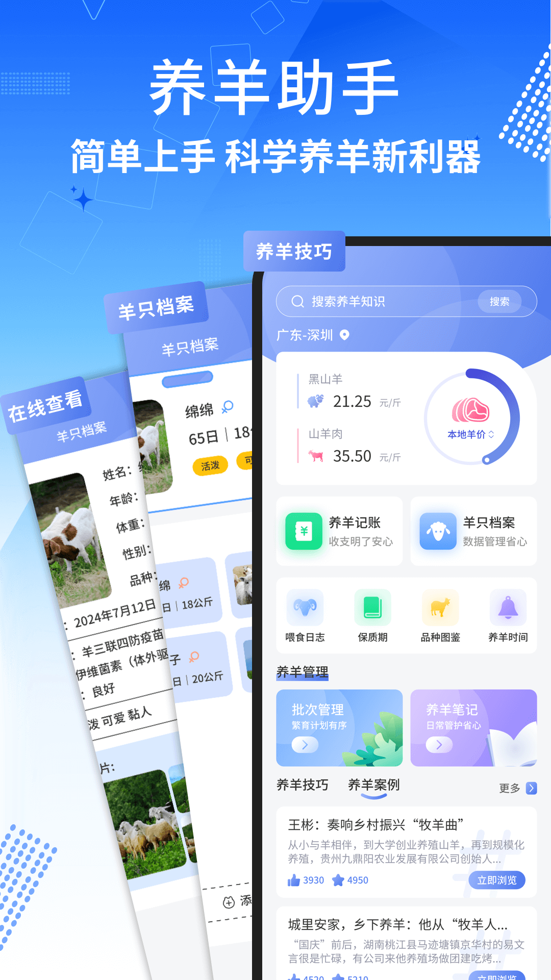 精彩截图-抓一只小羊2026官方新版