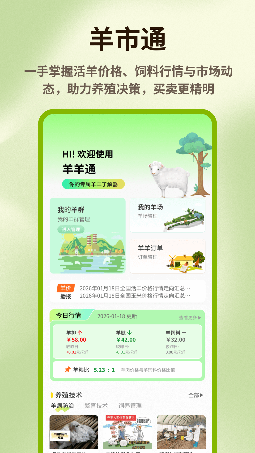 精彩截图-抓一只羊羊2026官方新版