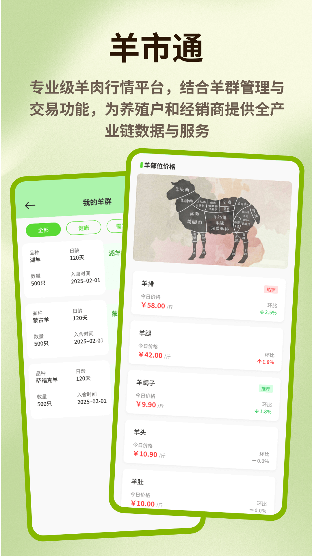 精彩截图-抓一只羊羊2026官方新版