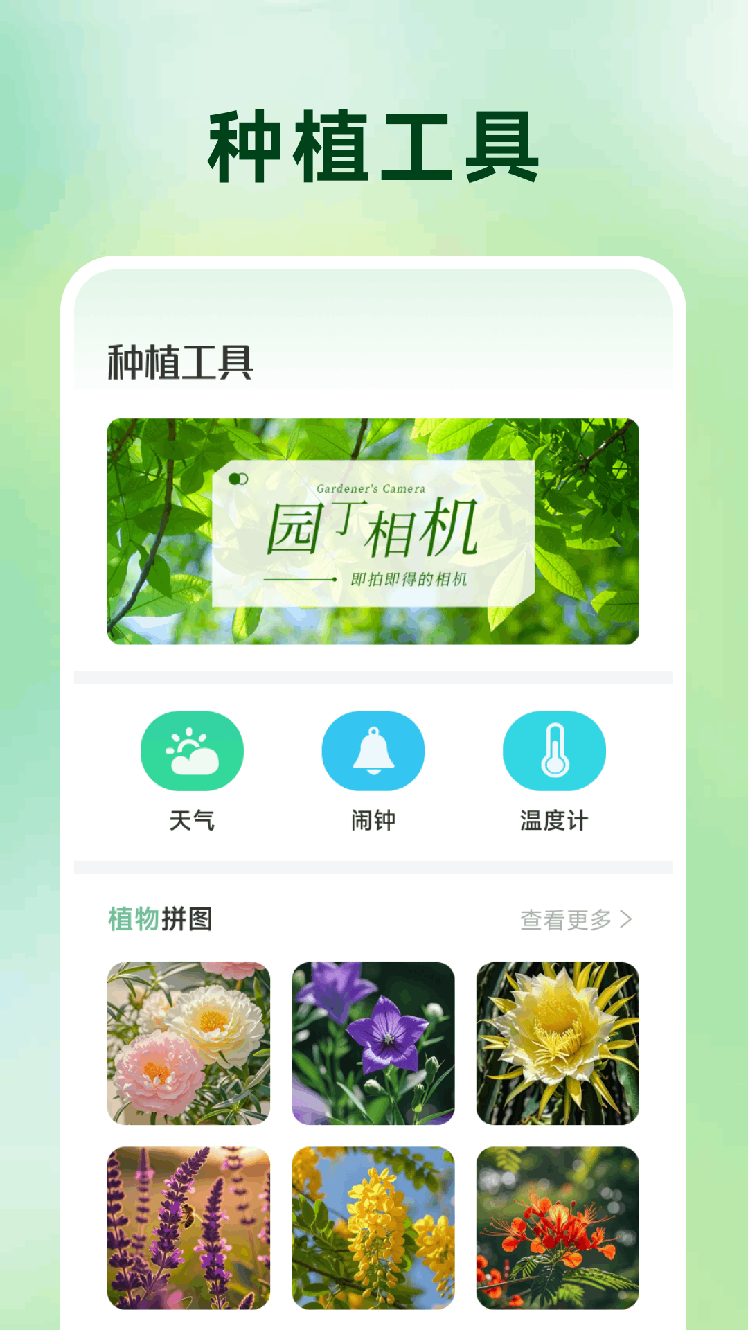 精彩截图-武齐花朵2026官方新版