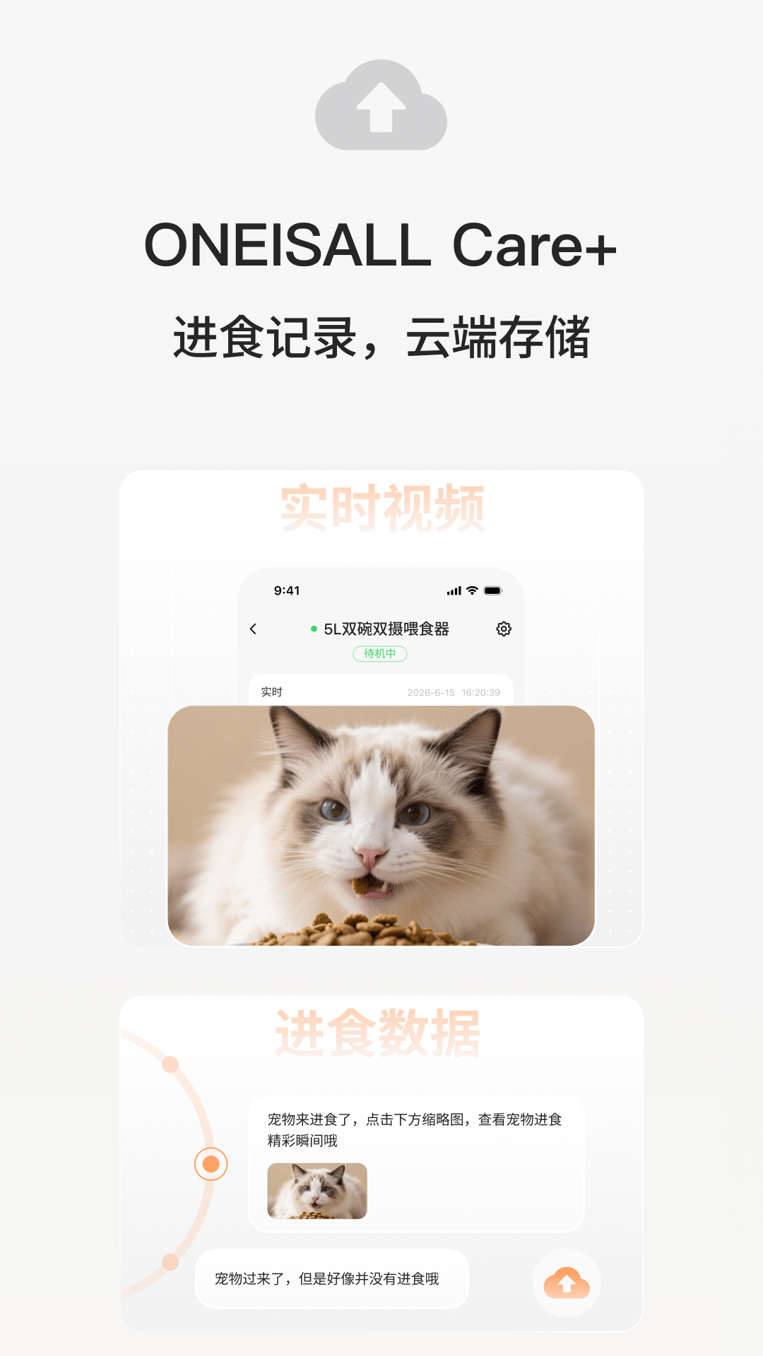 宠小吉 截图 2