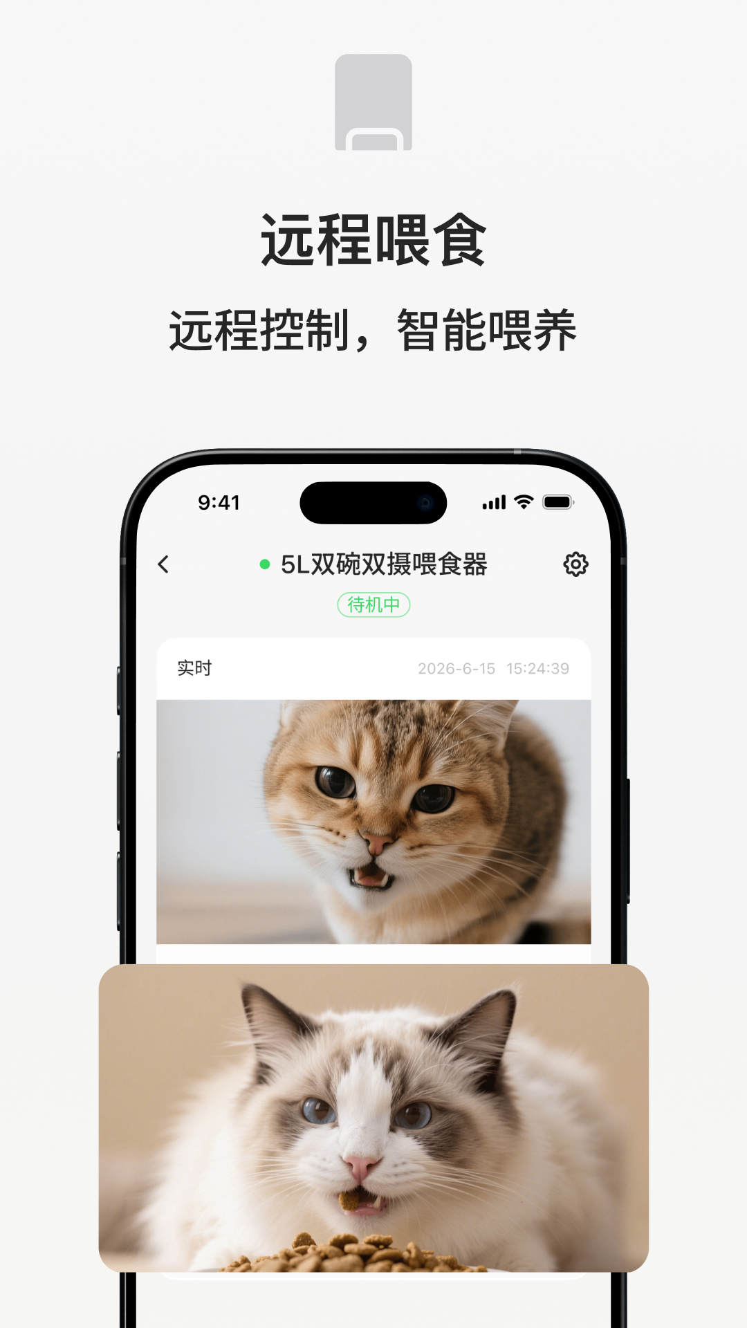 宠小吉 截图 4