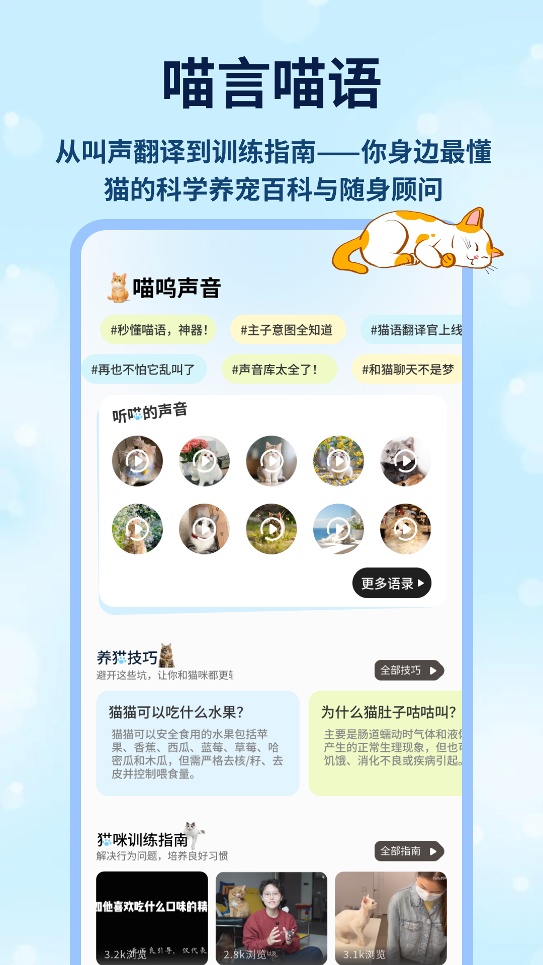 精彩截图-治愈猫咪破解版2026官方新版