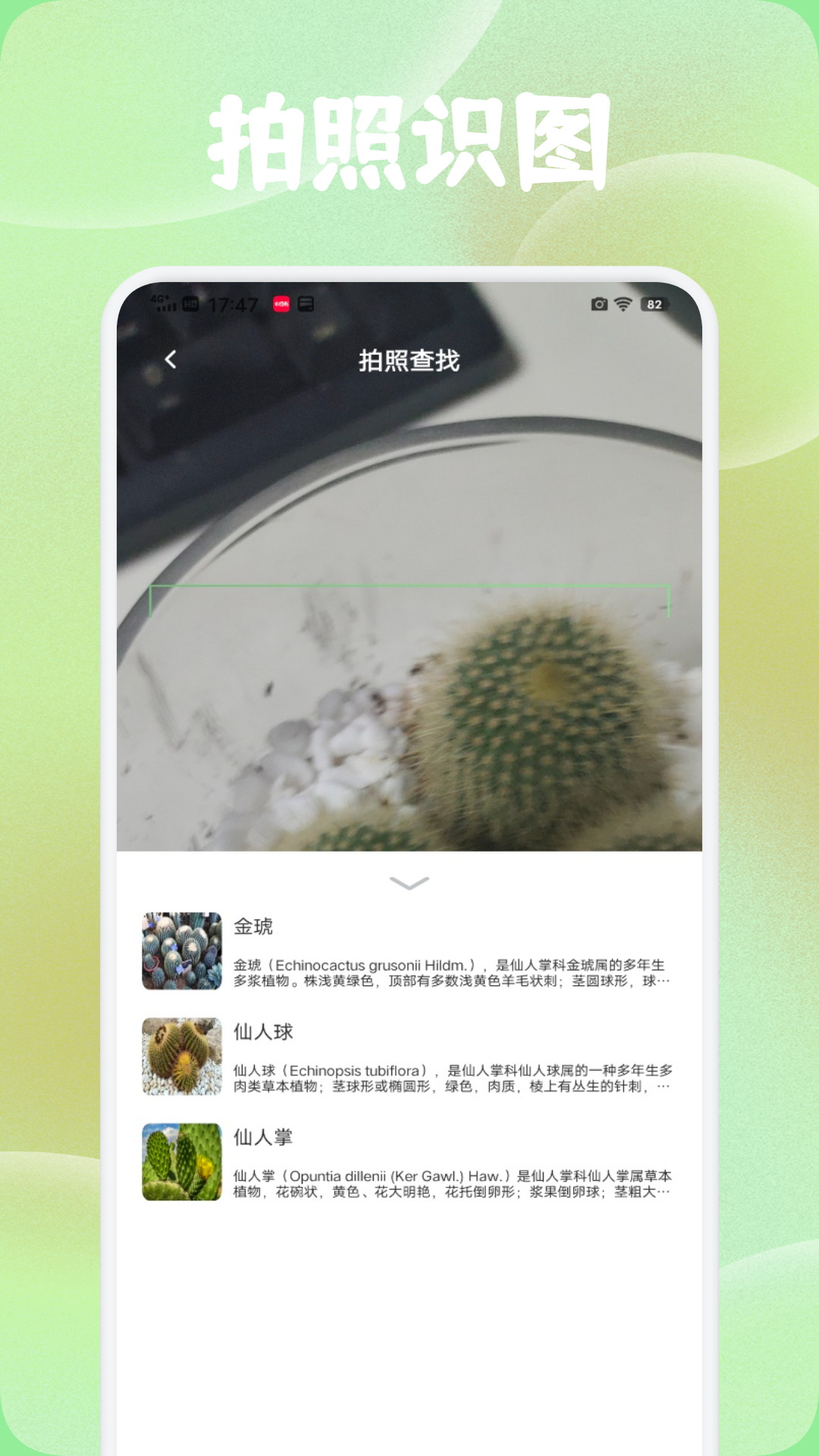 精彩截图-菊香2026官方新版