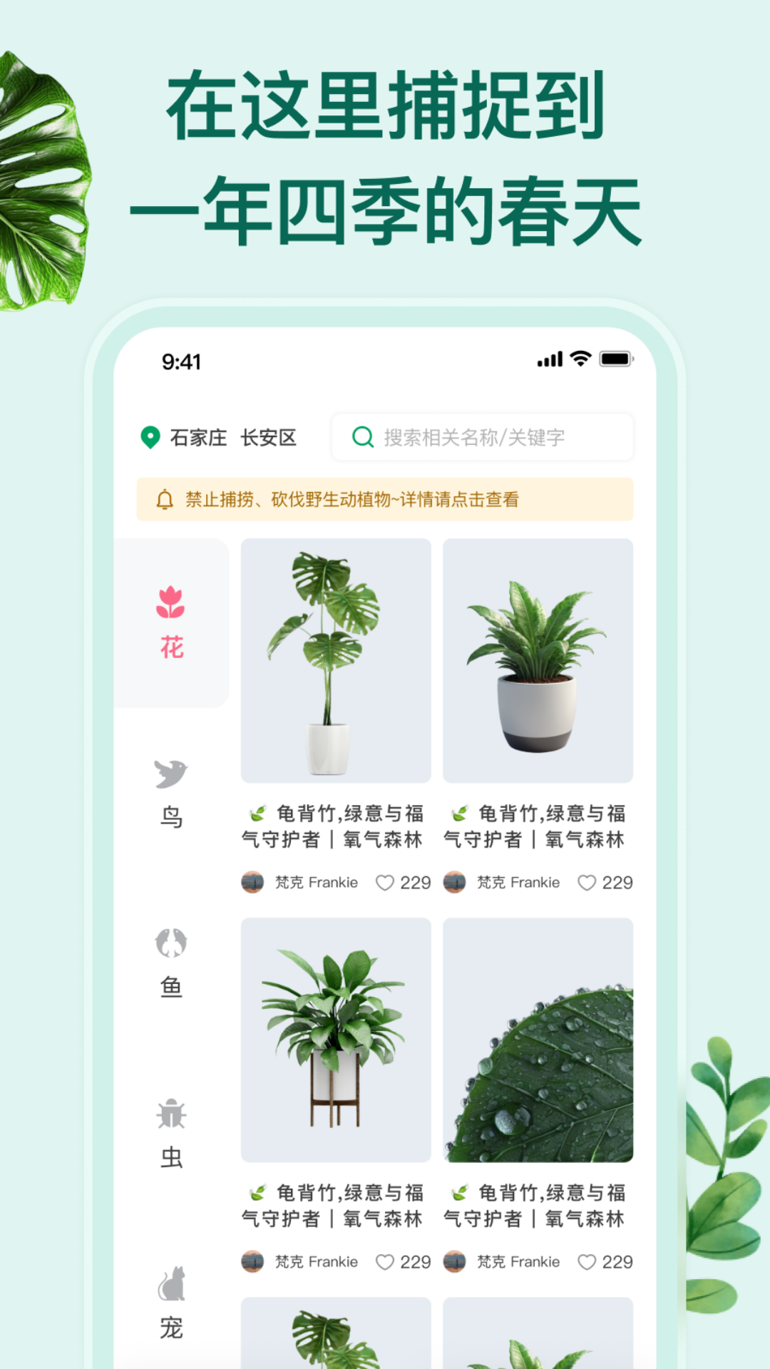 精彩截图-花鸟鱼虫2026官方新版