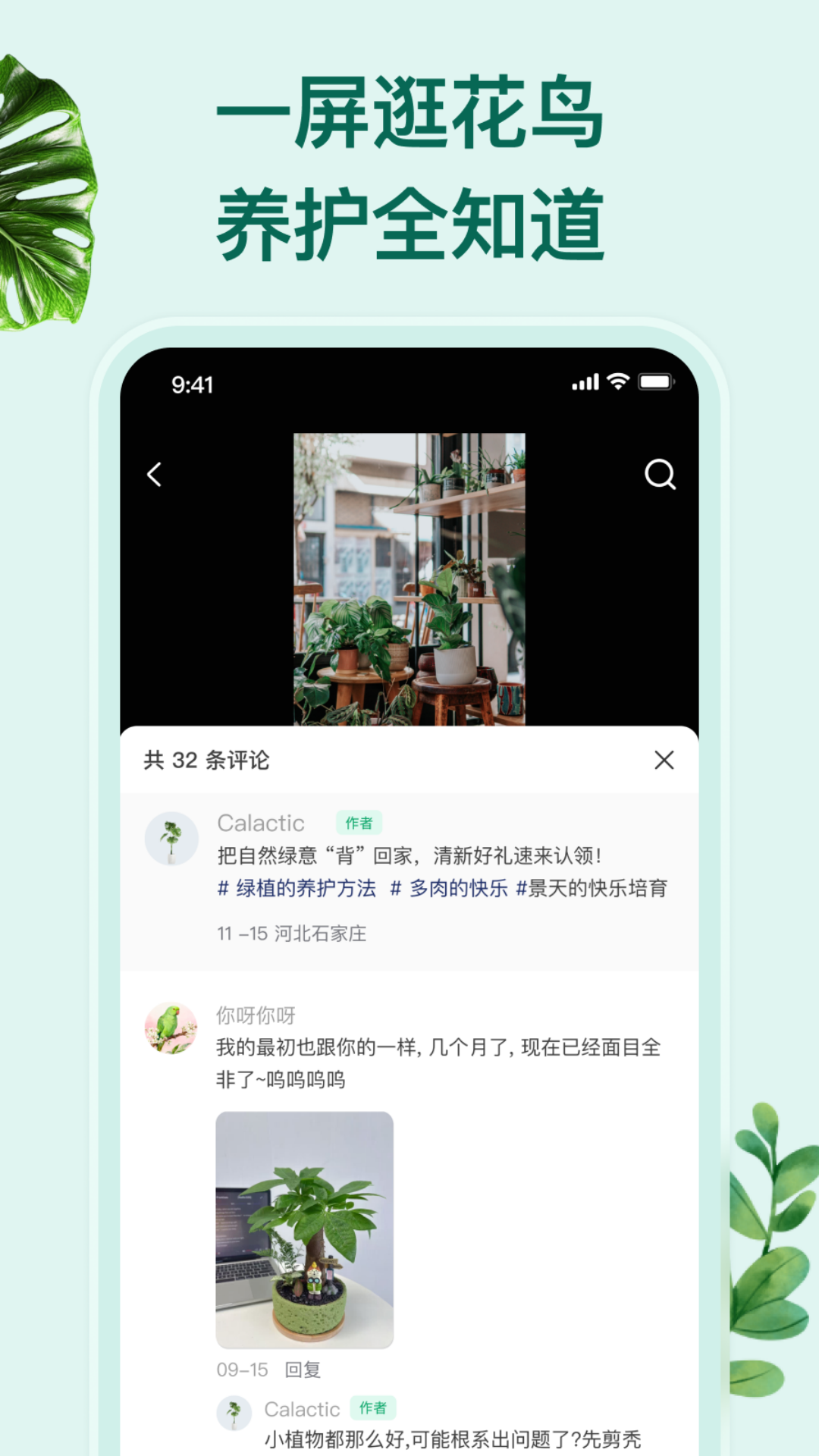 精彩截图-花鸟鱼虫2026官方新版