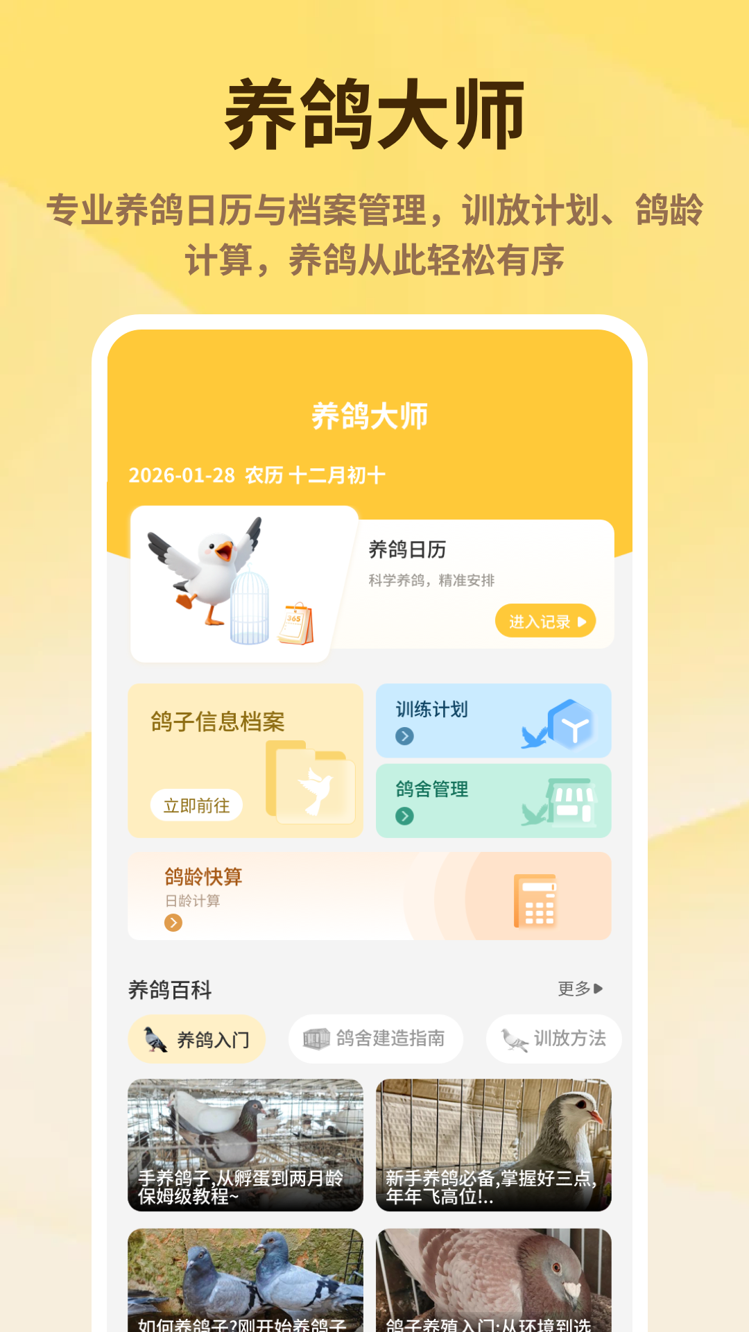 精彩截图-神奇的鸽子2026官方新版