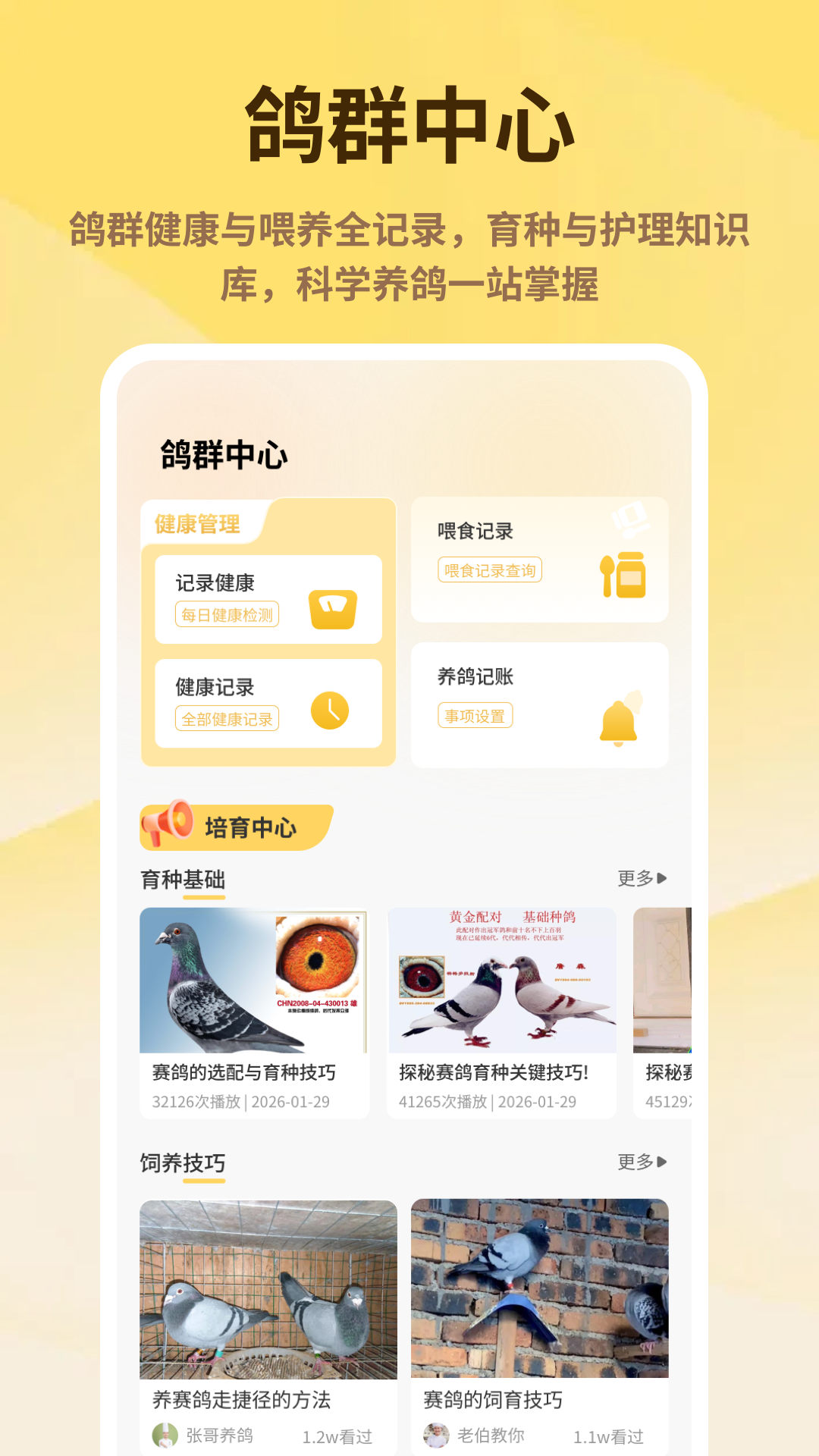 精彩截图-神奇的鸽子2026官方新版
