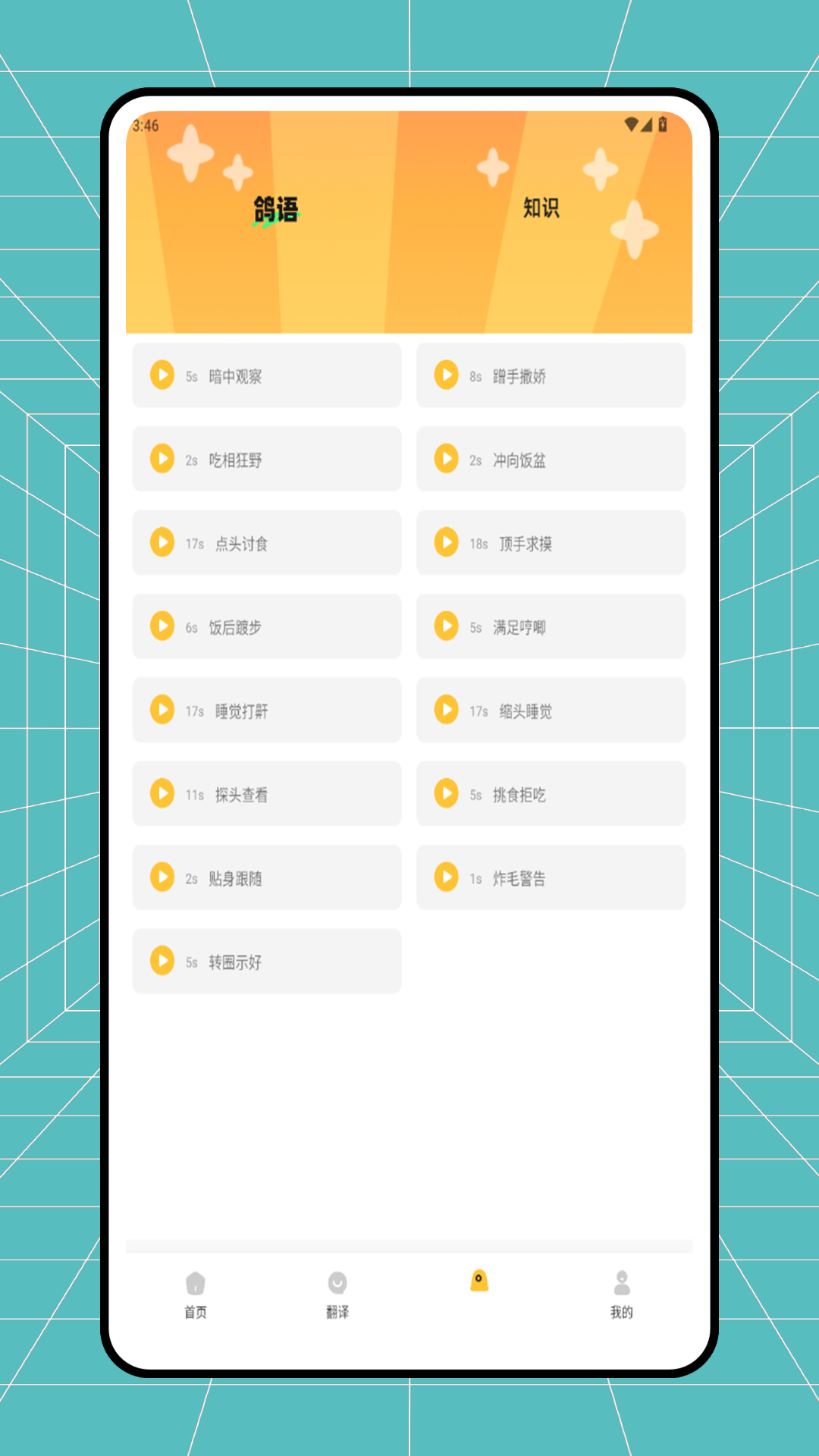 精彩截图-神奇的鸽子2026官方新版