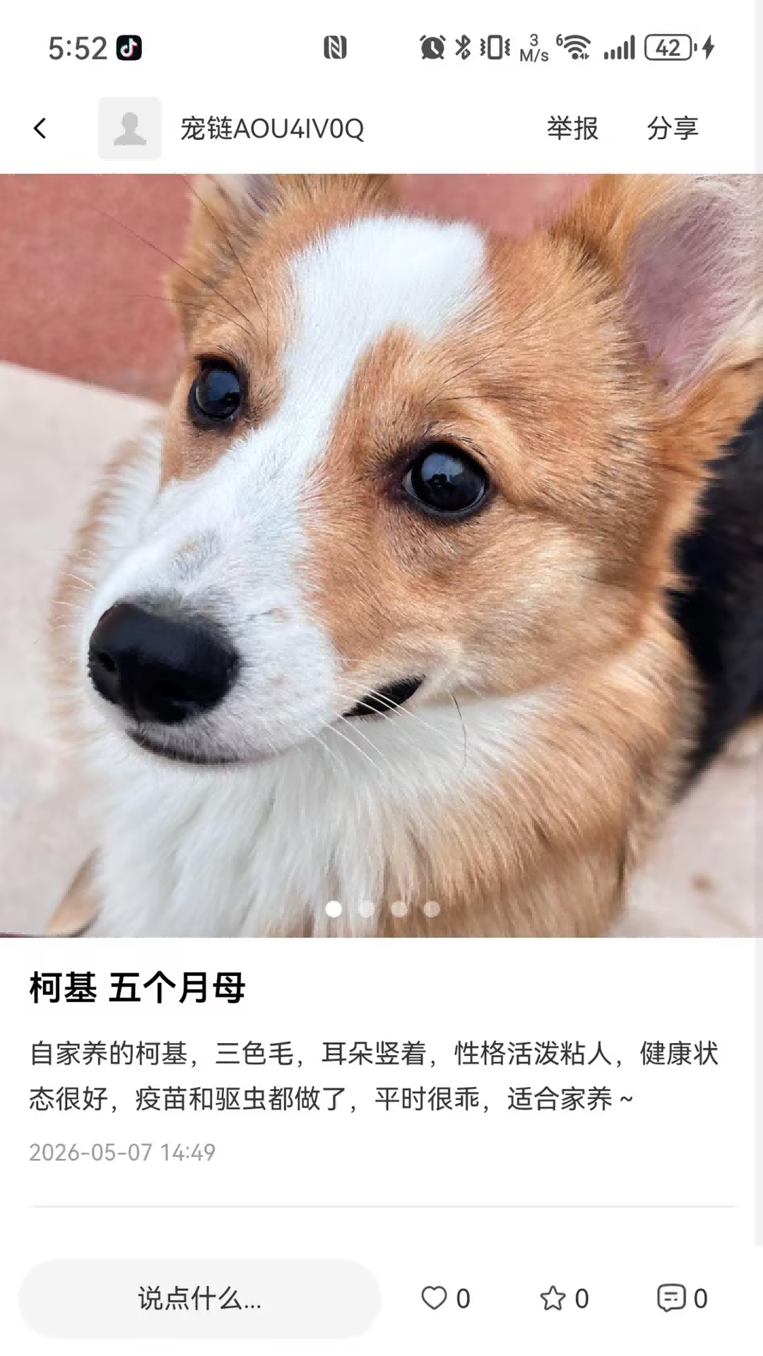 精彩截图-宠链2026官方新版