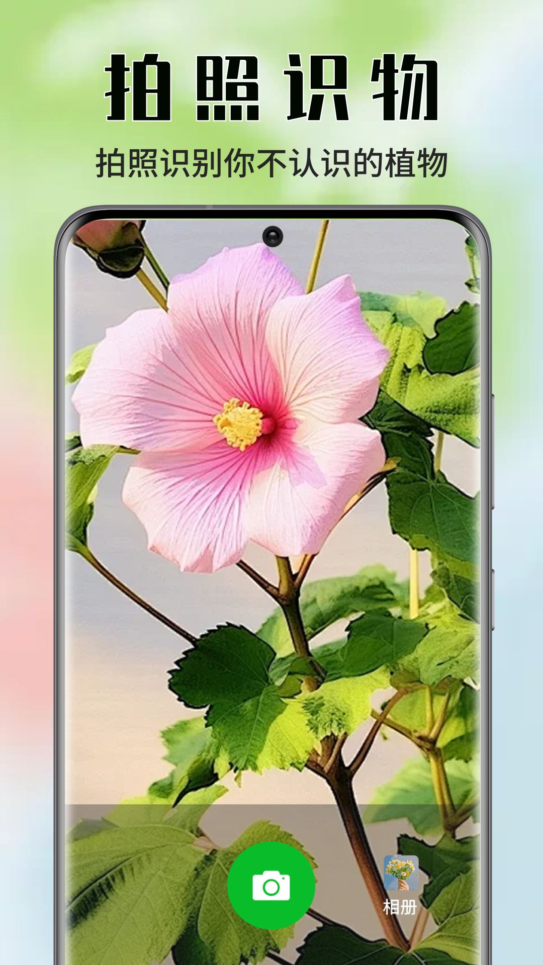 精彩截图-花花乐园2026官方新版