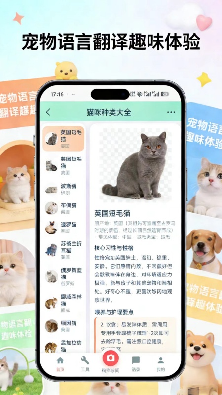 精彩截图-旺言喵语2026官方新版