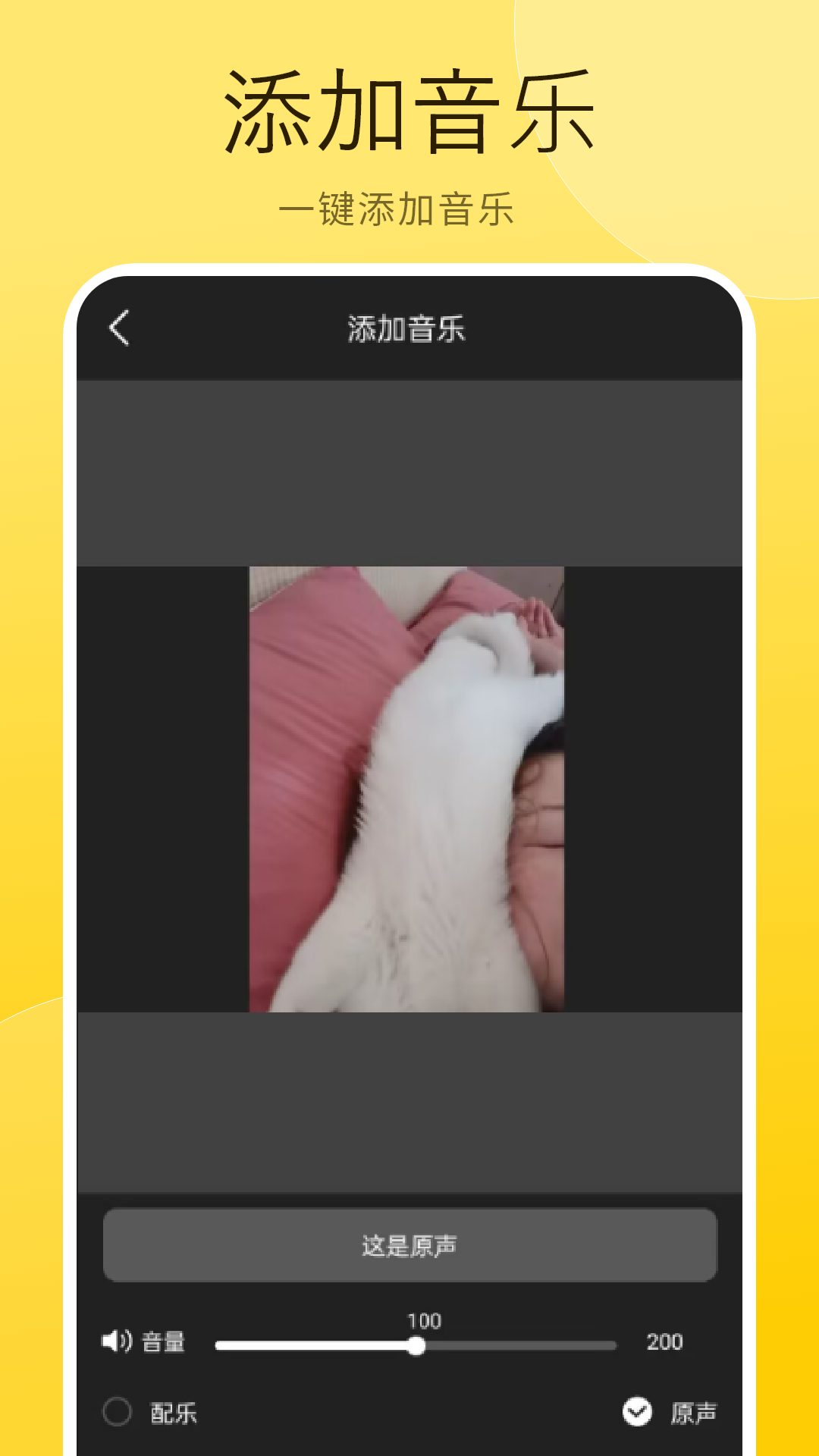 精彩截图-同学视频2026官方新版