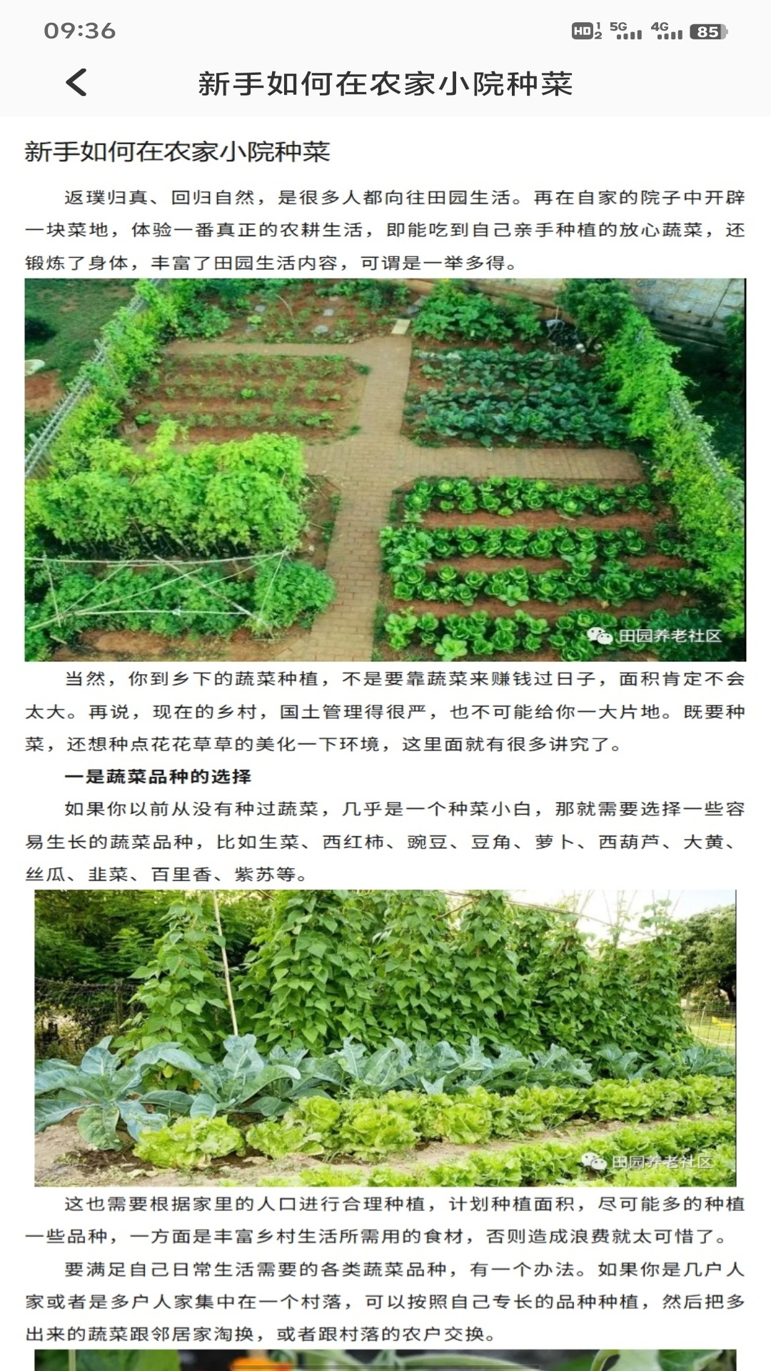 精彩截图-我的养老时光2026官方新版