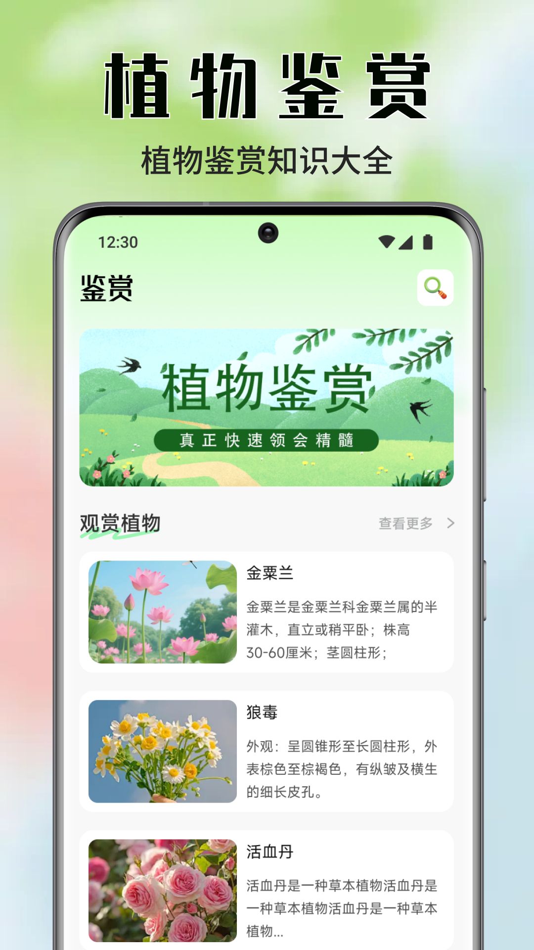精彩截图-盈盈花2026官方新版