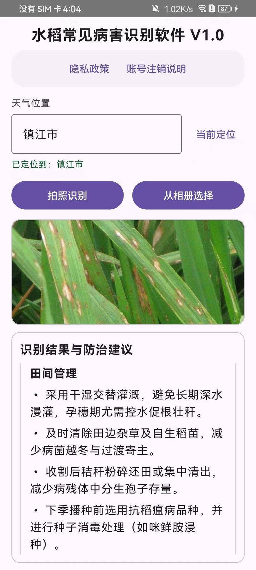 精彩截图-水稻常见病害识别软件 V1.02026官方新版