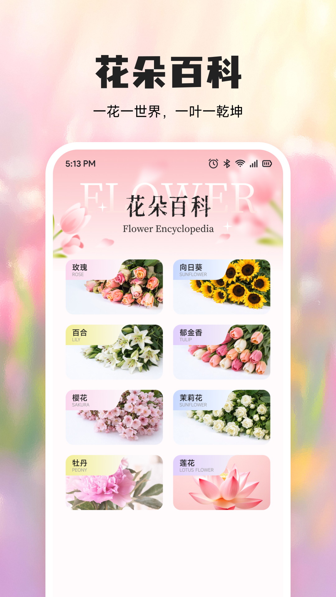 精彩截图-优品花语2026官方新版