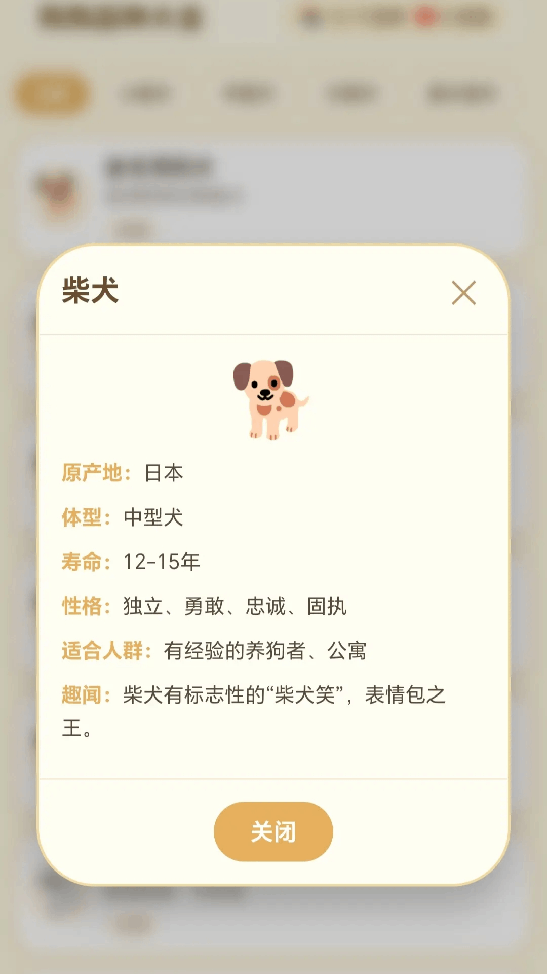 精彩截图-抓条旺旺狗2026官方新版